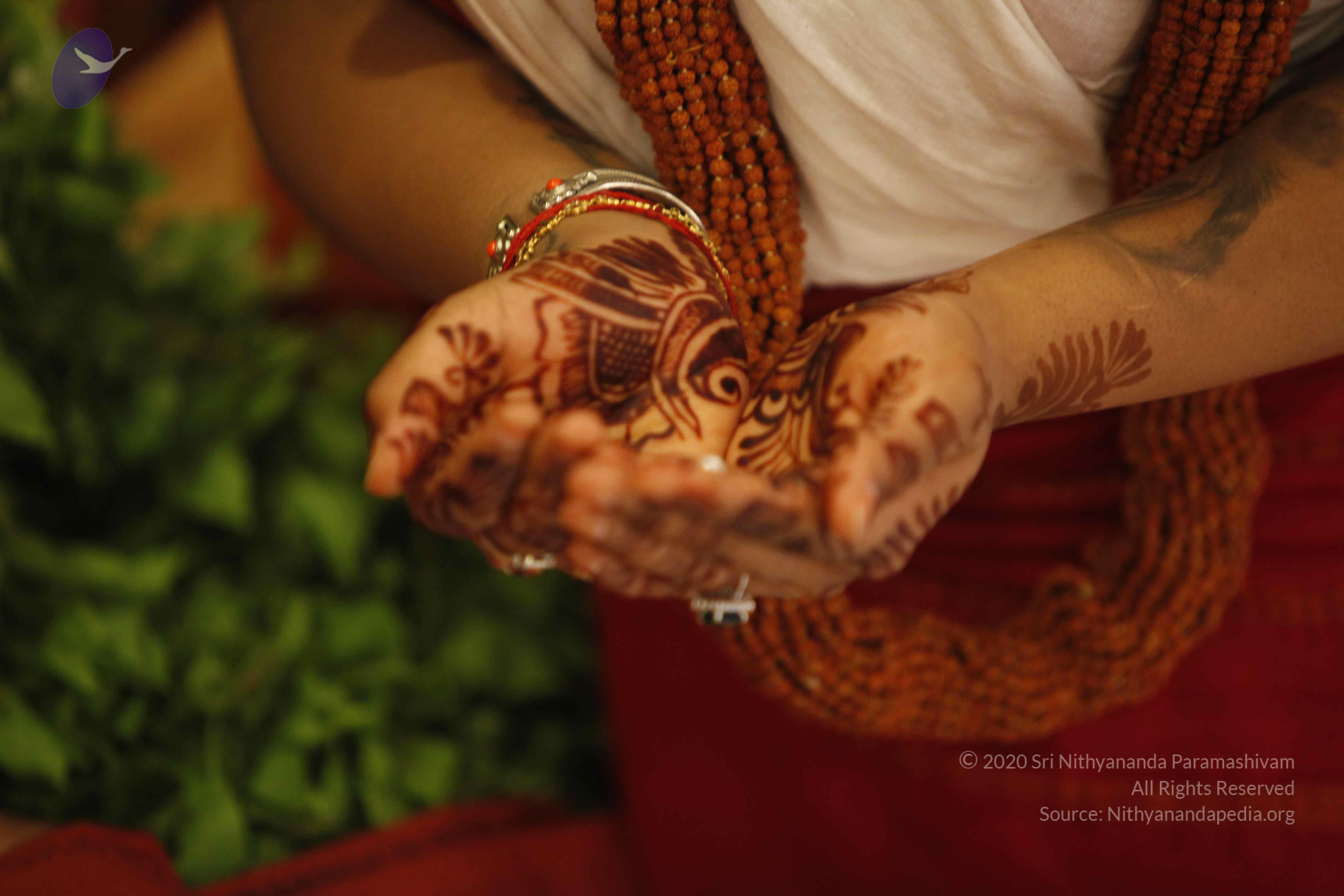 20140501_Photo_1029__MG_3266_CMP_WM