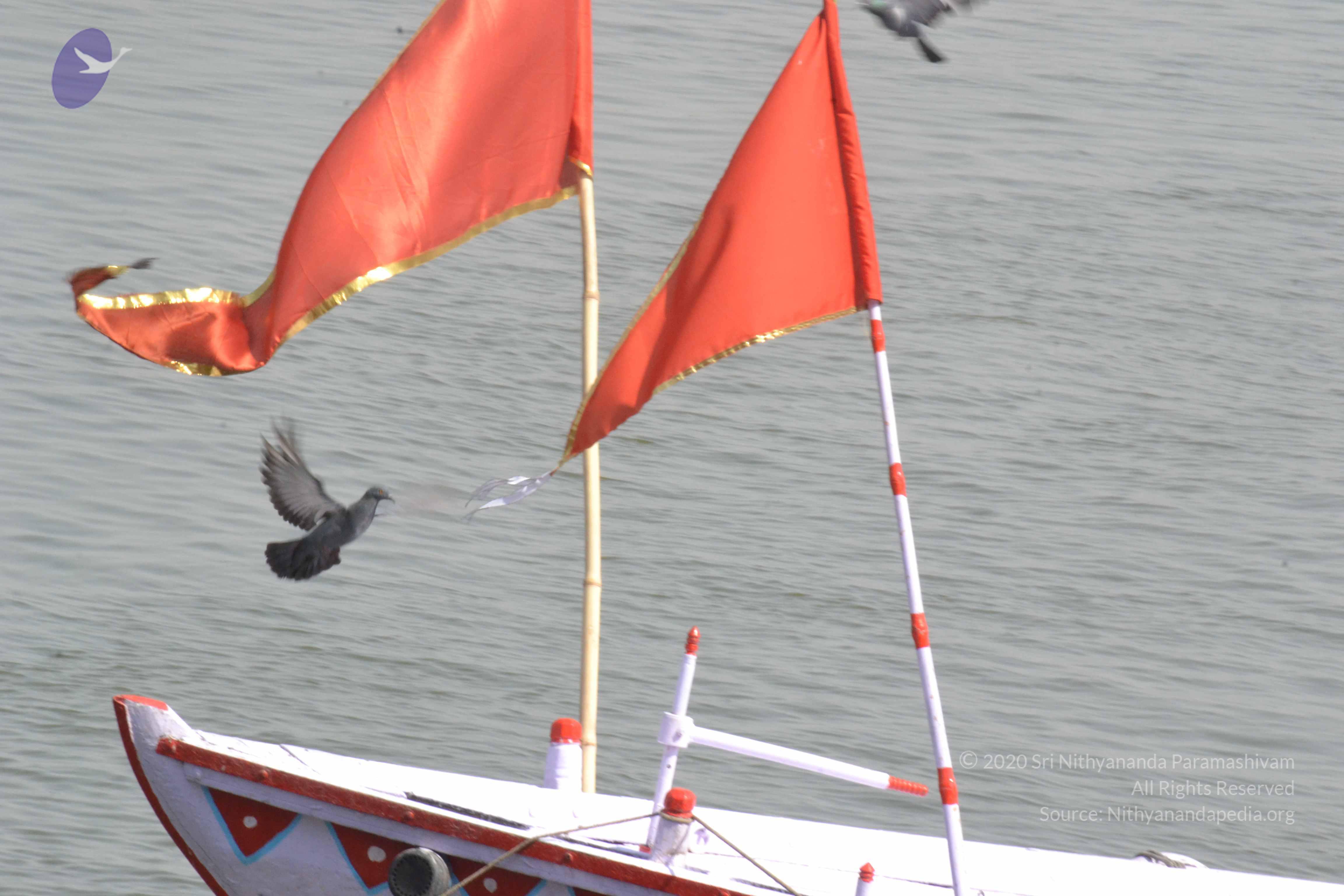 20140501_Photo_1014_DSC_7722_CMP_WM