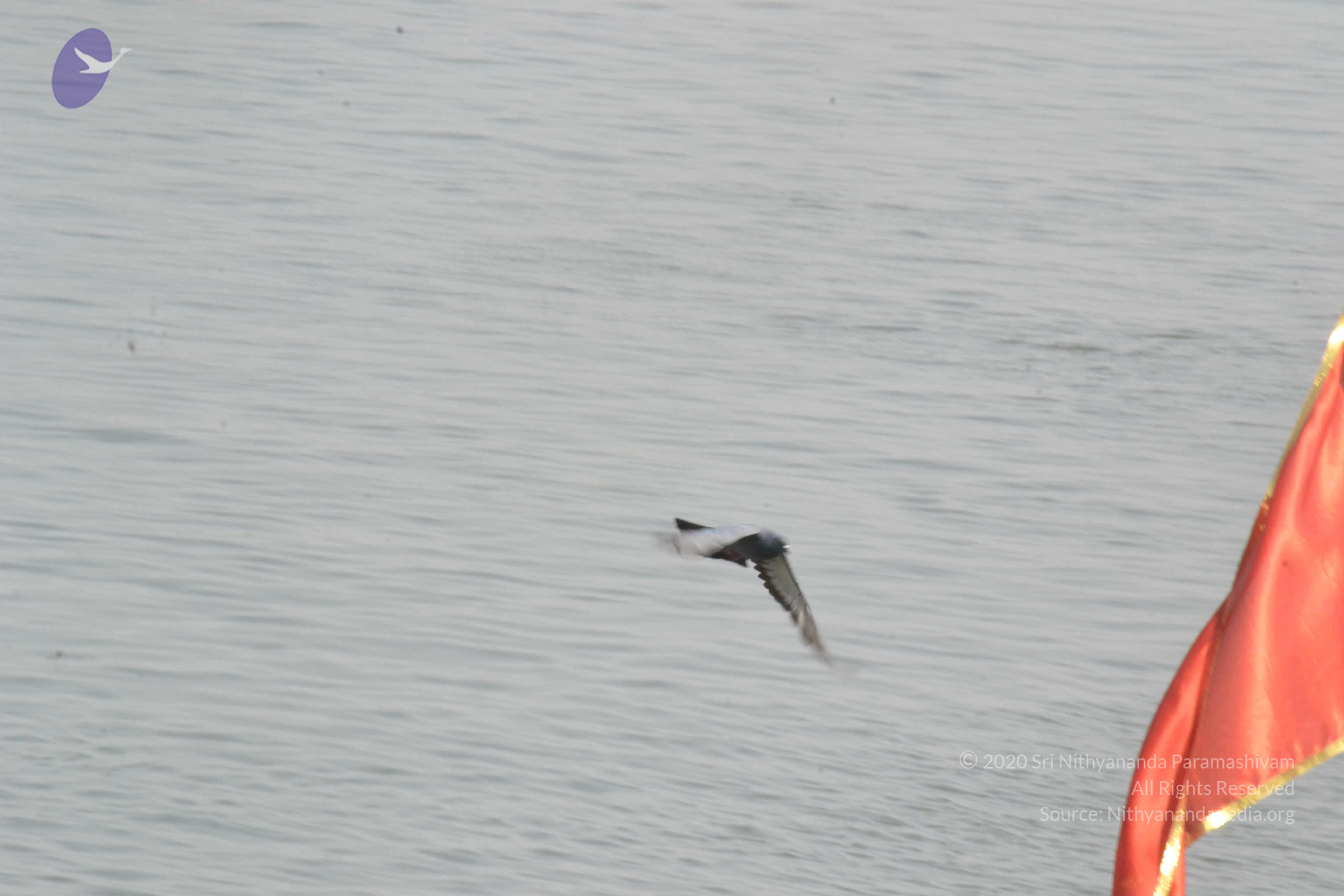 20140501_Photo_1016_DSC_7725_CMP_WM