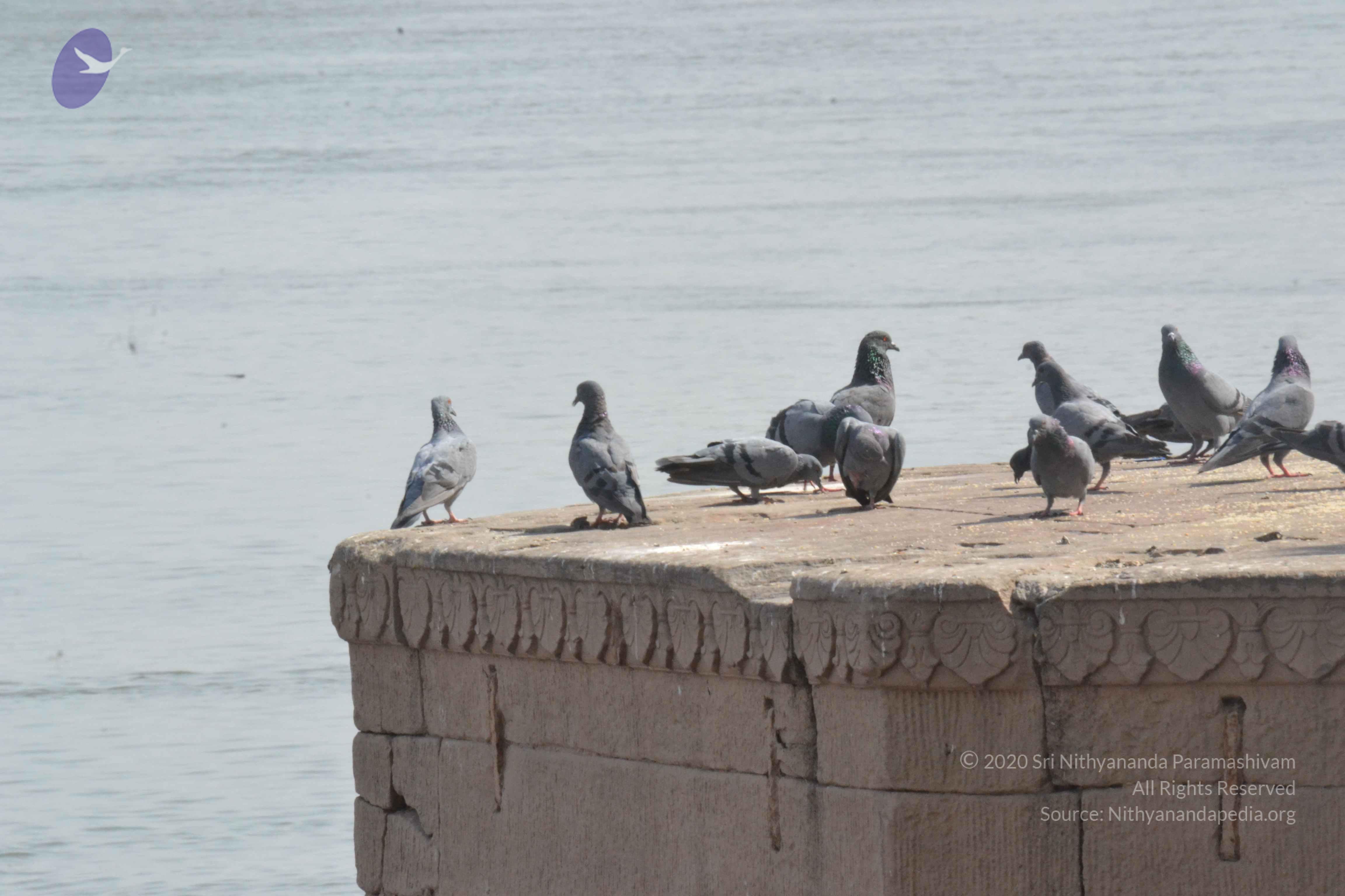 20140501_Photo_1026_DSC_7717_CMP_WM