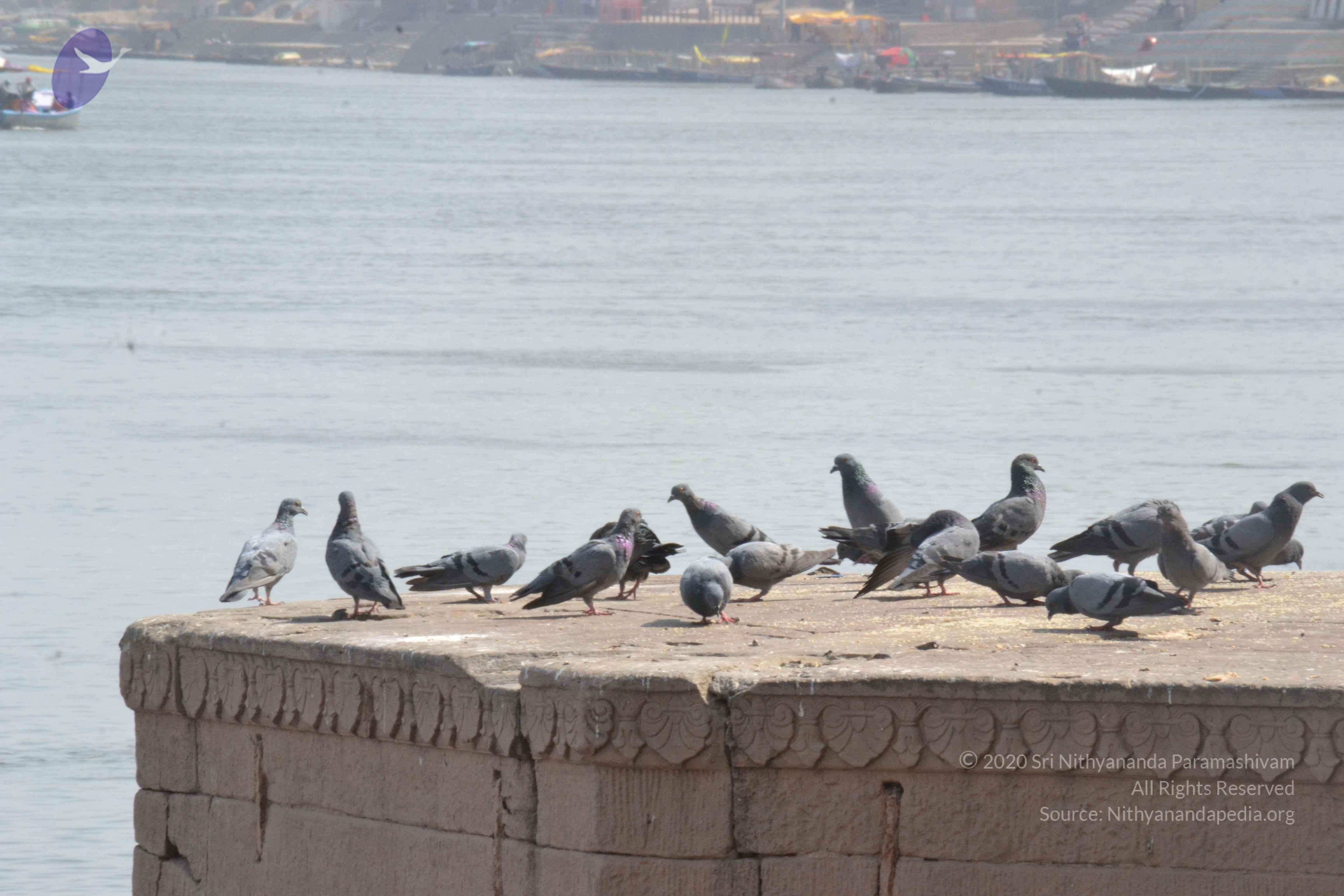 20140501_Photo_1030_DSC_7719_CMP_WM