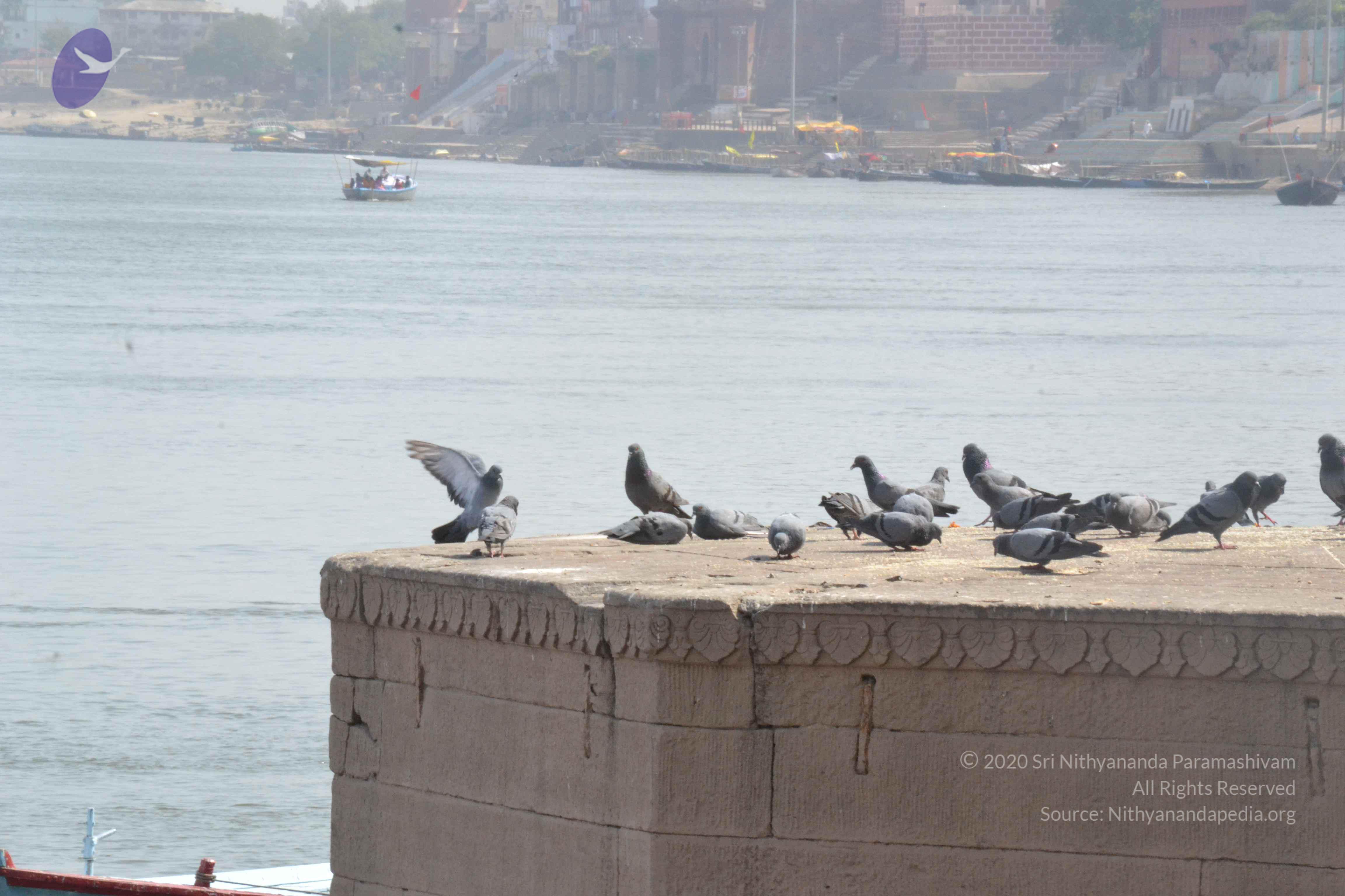 20140501_Photo_1033_DSC_7714_CMP_WM