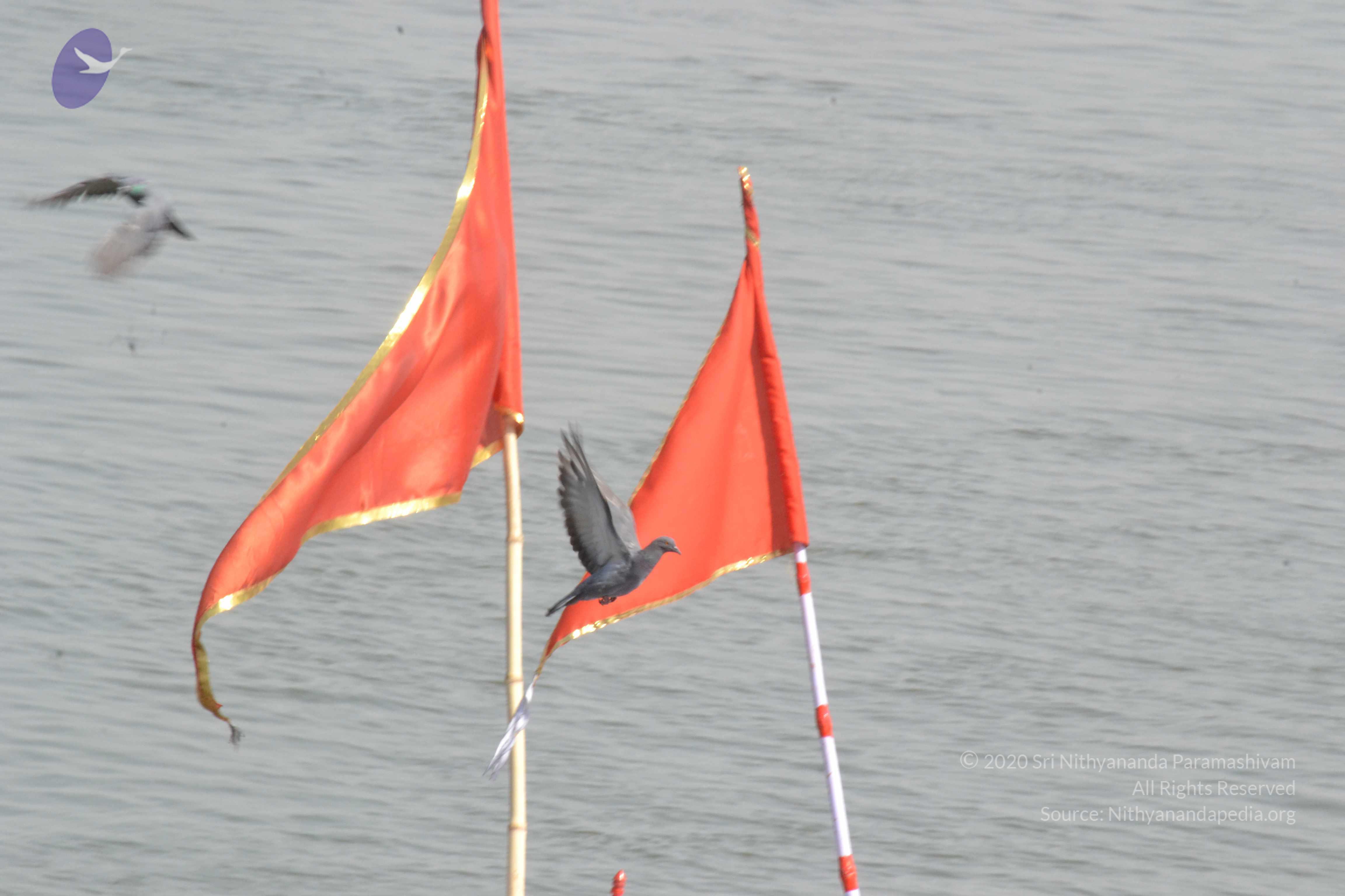 20140501_Photo_1034_DSC_7723_CMP_WM