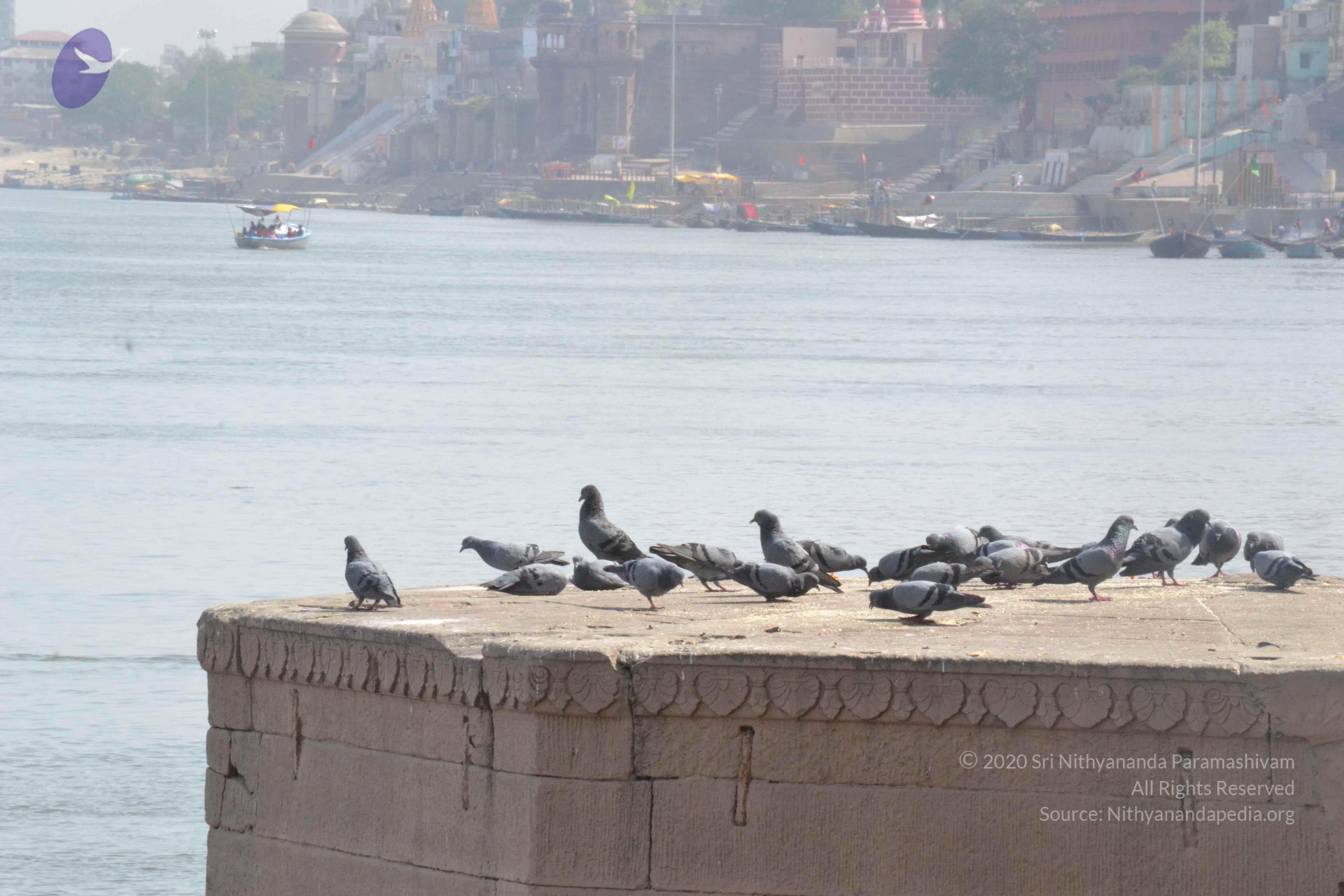 20140501_Photo_1048_DSC_7713_CMP_WM