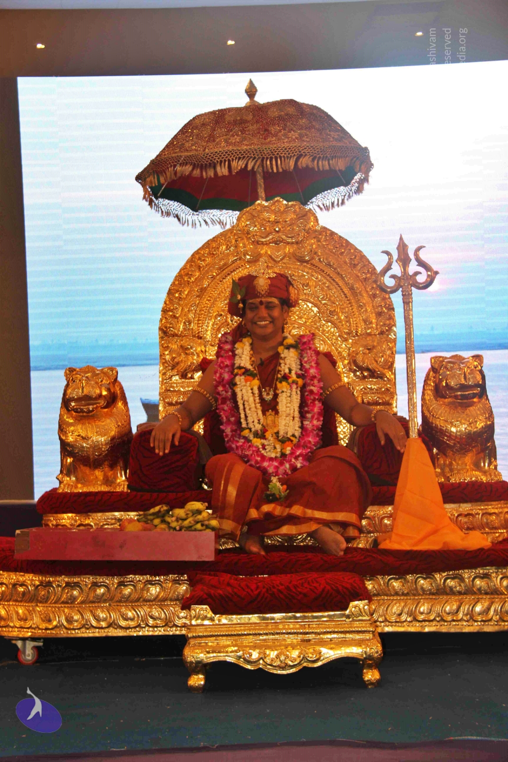 20140501_Photo_1010_IMG_1741_CMP_WM