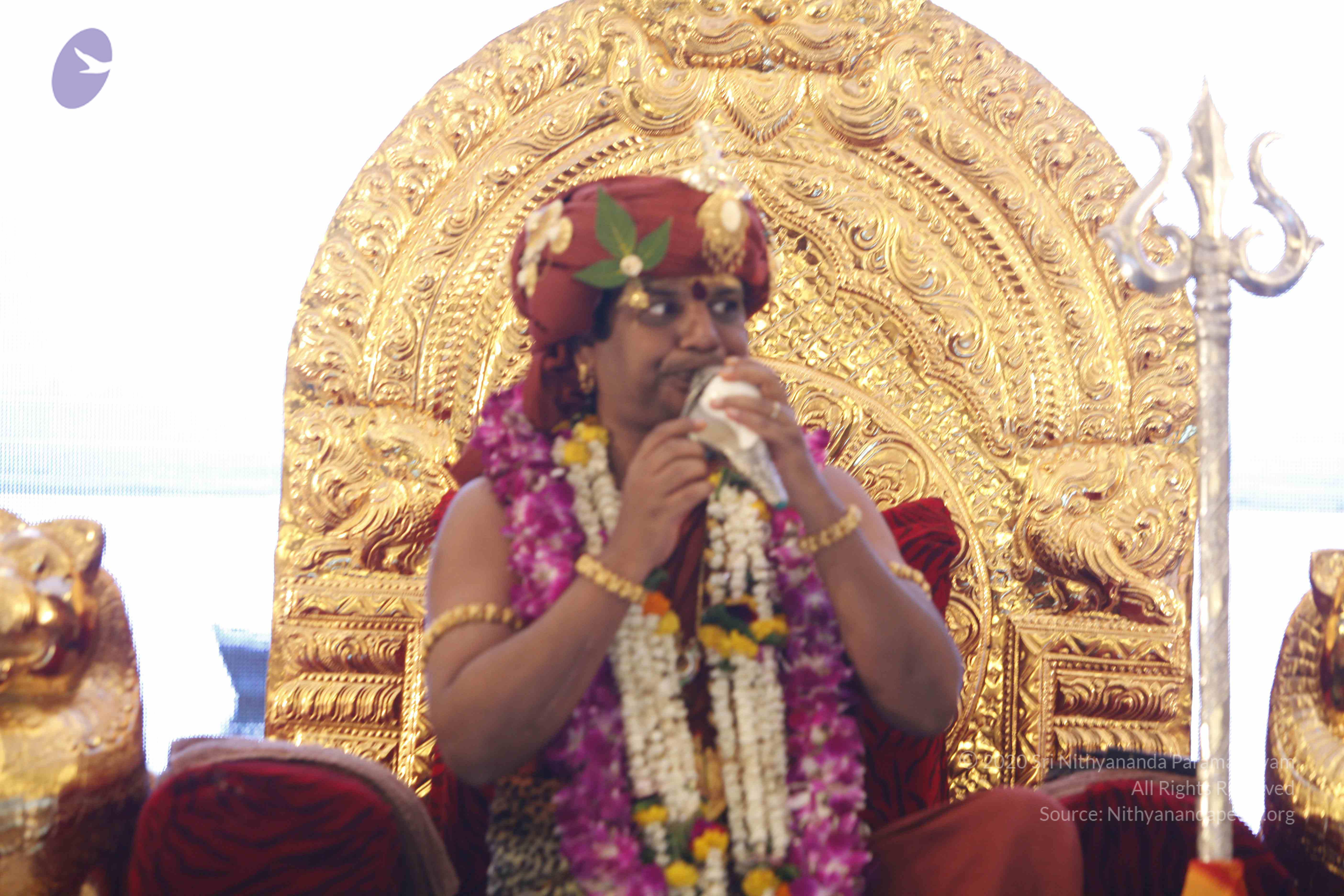 20140501_Photo_1005__MG_3004_CMP_WM