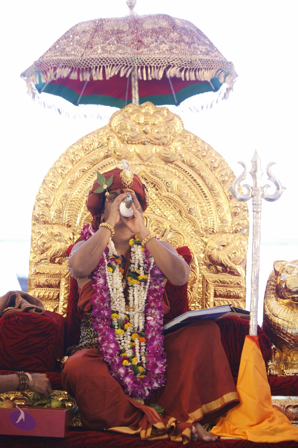 20140501_Photo_1013__MG_3020_CMP_WM