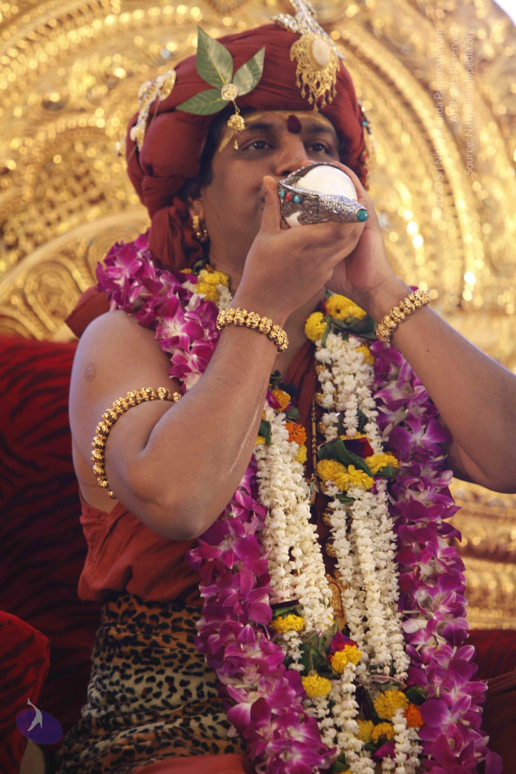 20140501_Photo_1023__MG_3011_CMP_WM