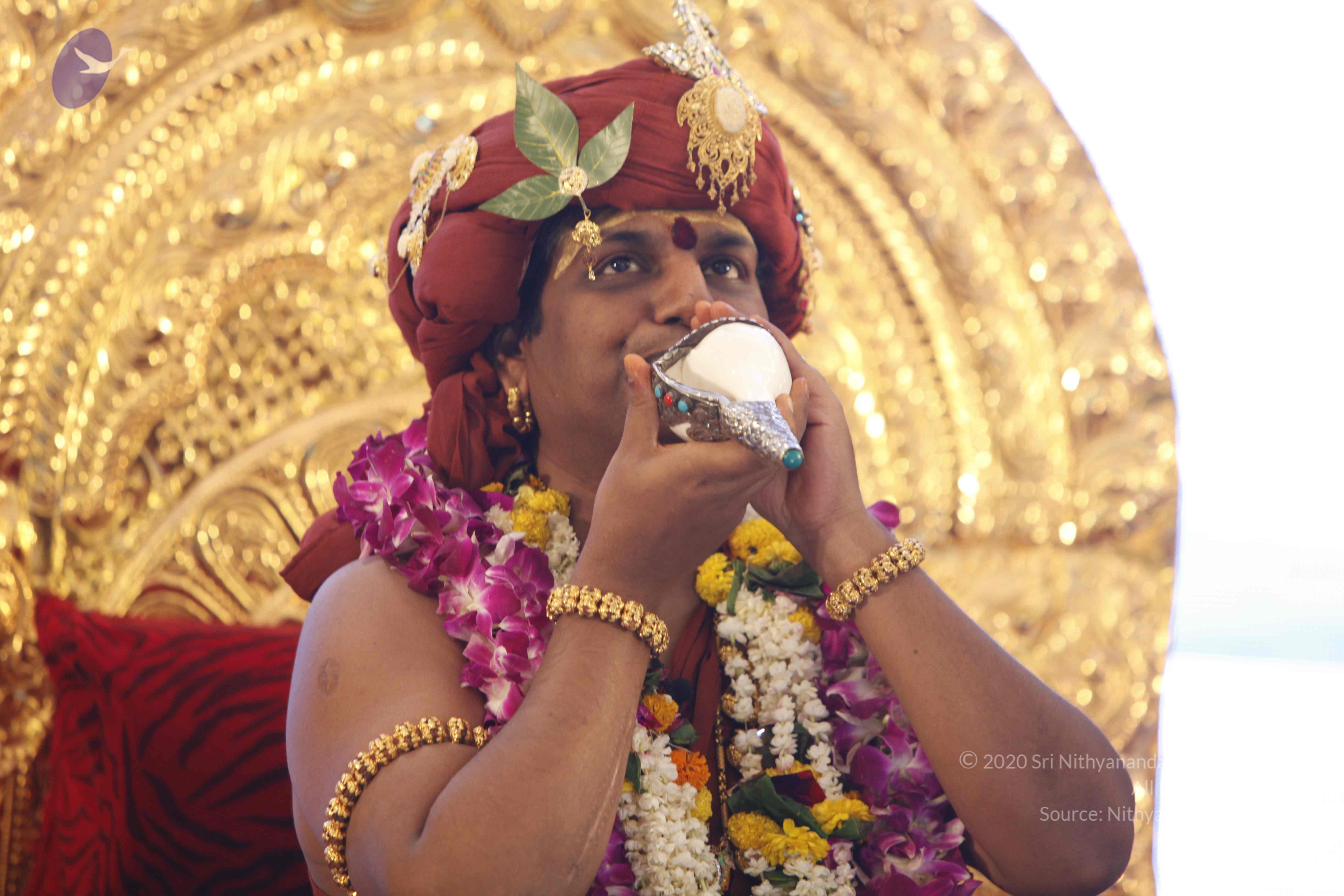 20140501_Photo_1028__MG_3008_CMP_WM