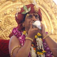 20140501_Photo_1028__MG_3008_CMP_WM