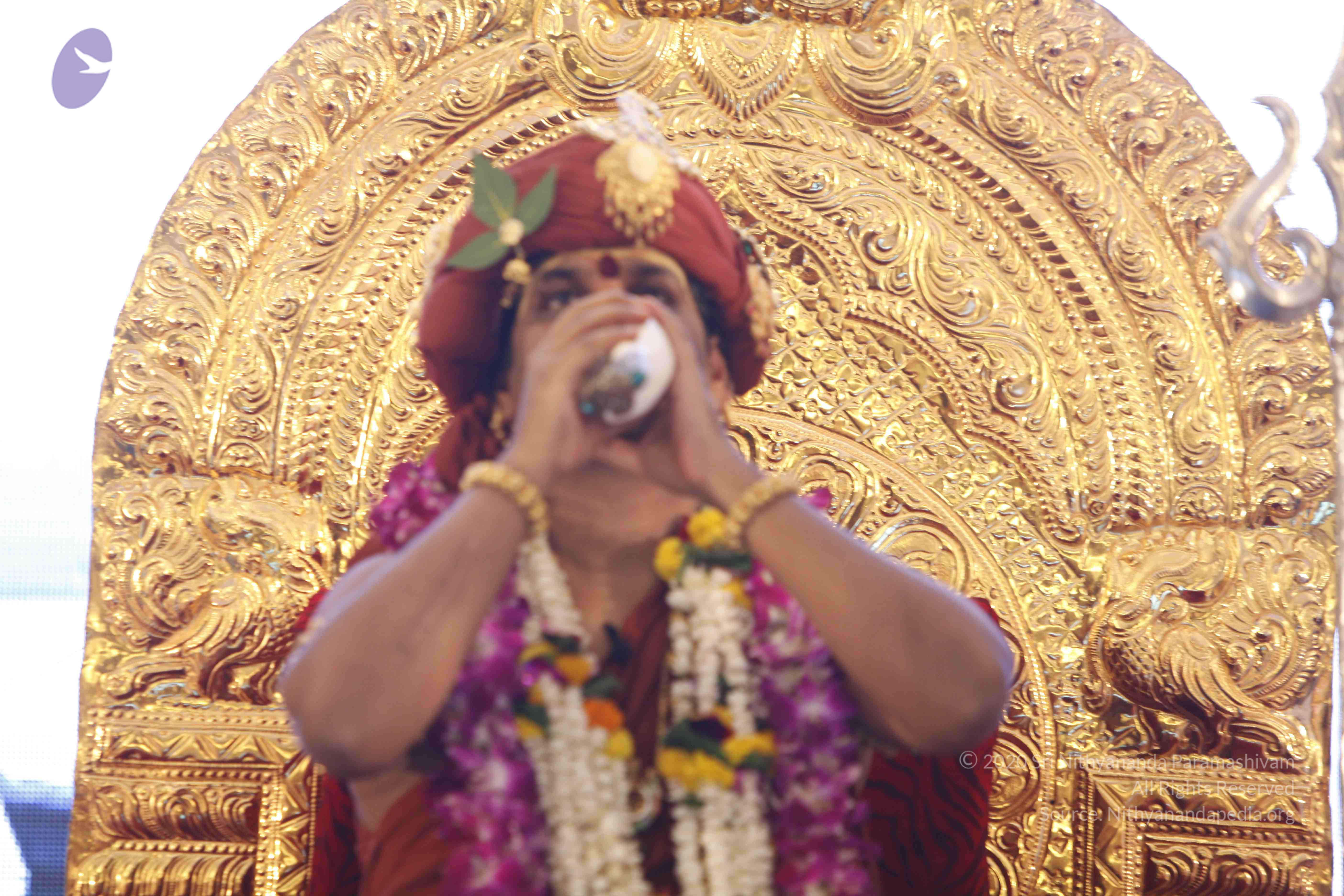 20140501_Photo_1042__MG_3007_CMP_WM