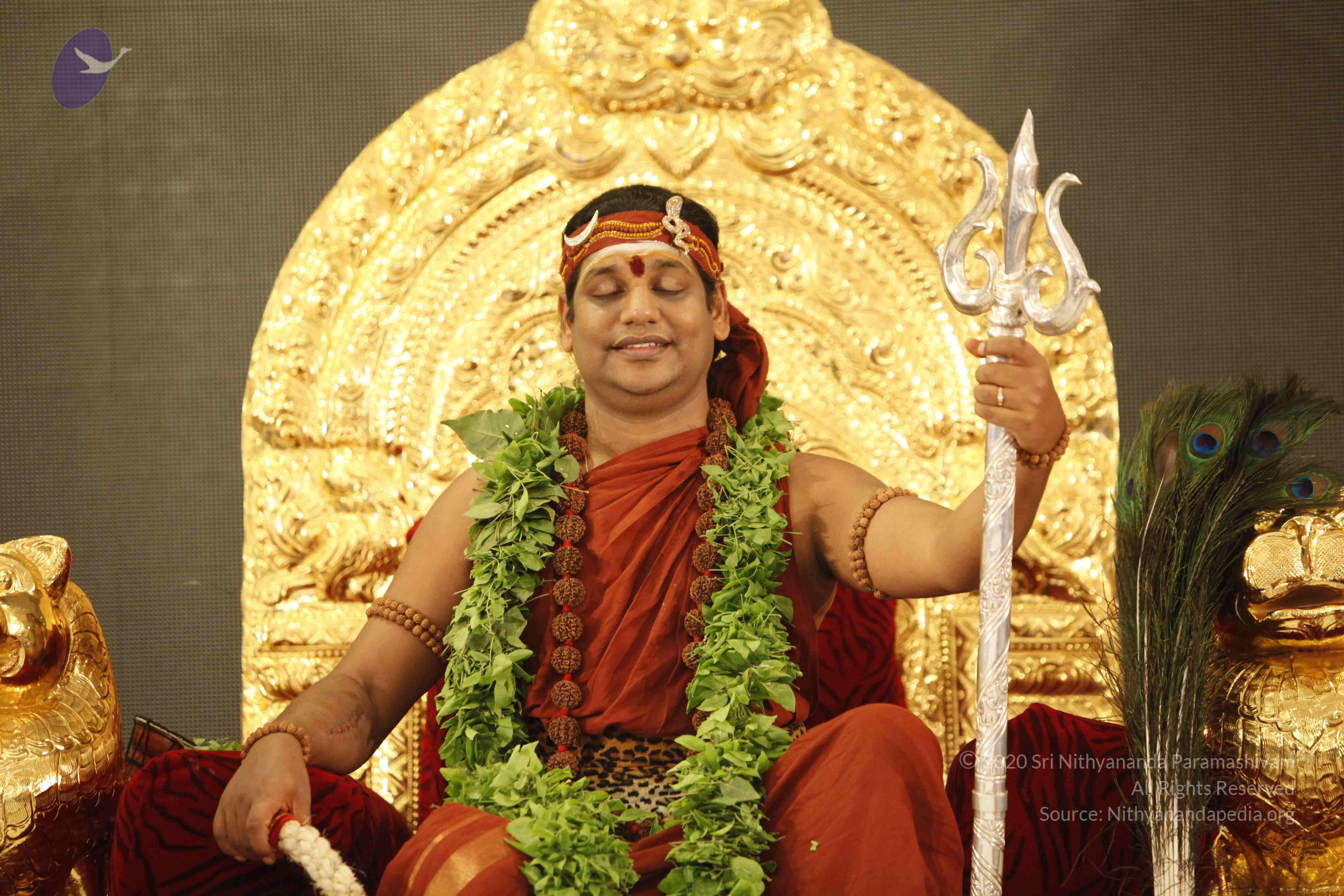 20140501_Photo_1025__MG_3230_CMP_WM