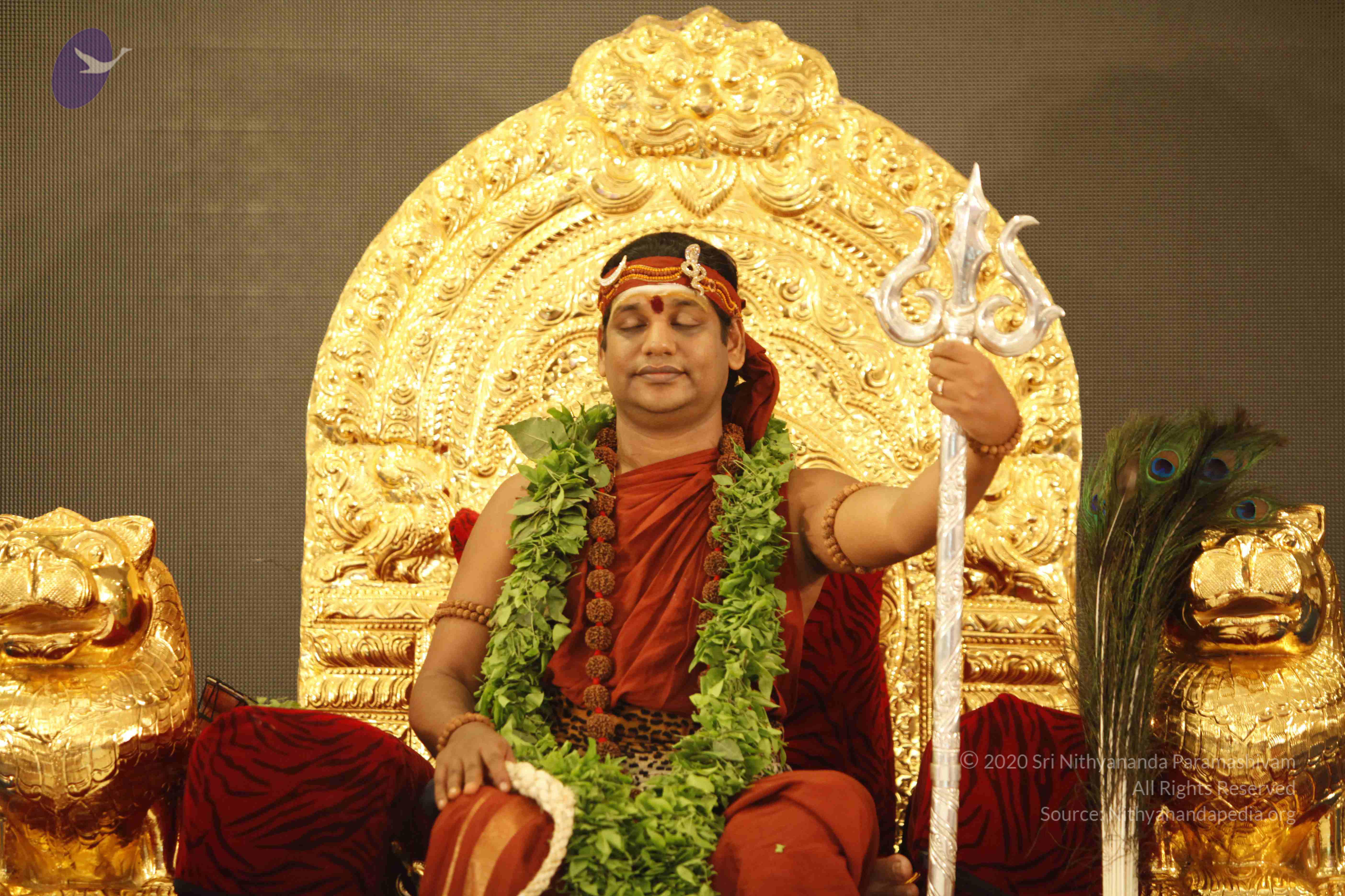 20140501_Photo_1063__MG_3224_CMP_WM