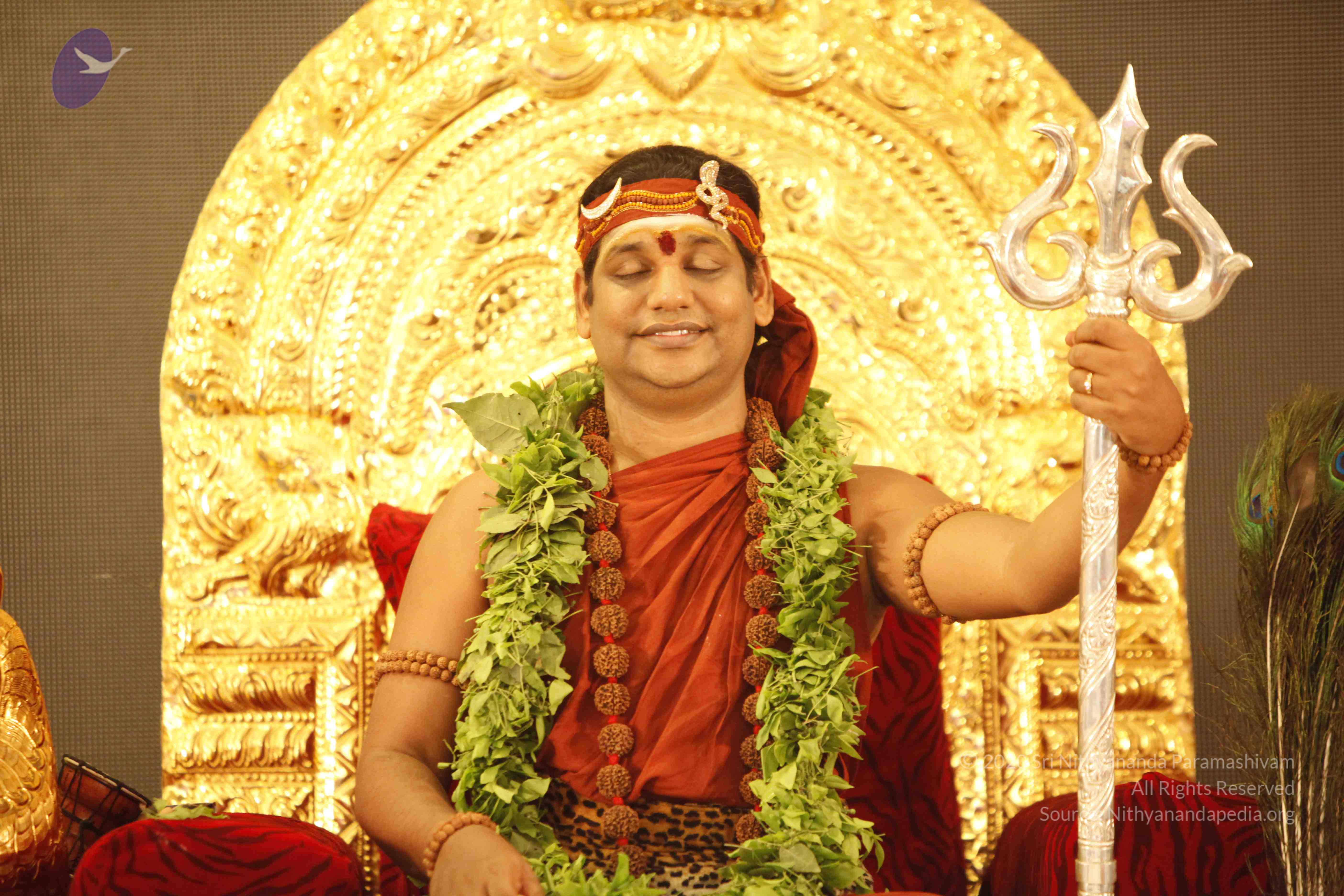 20140501_Photo_1100__MG_3219_CMP_WM