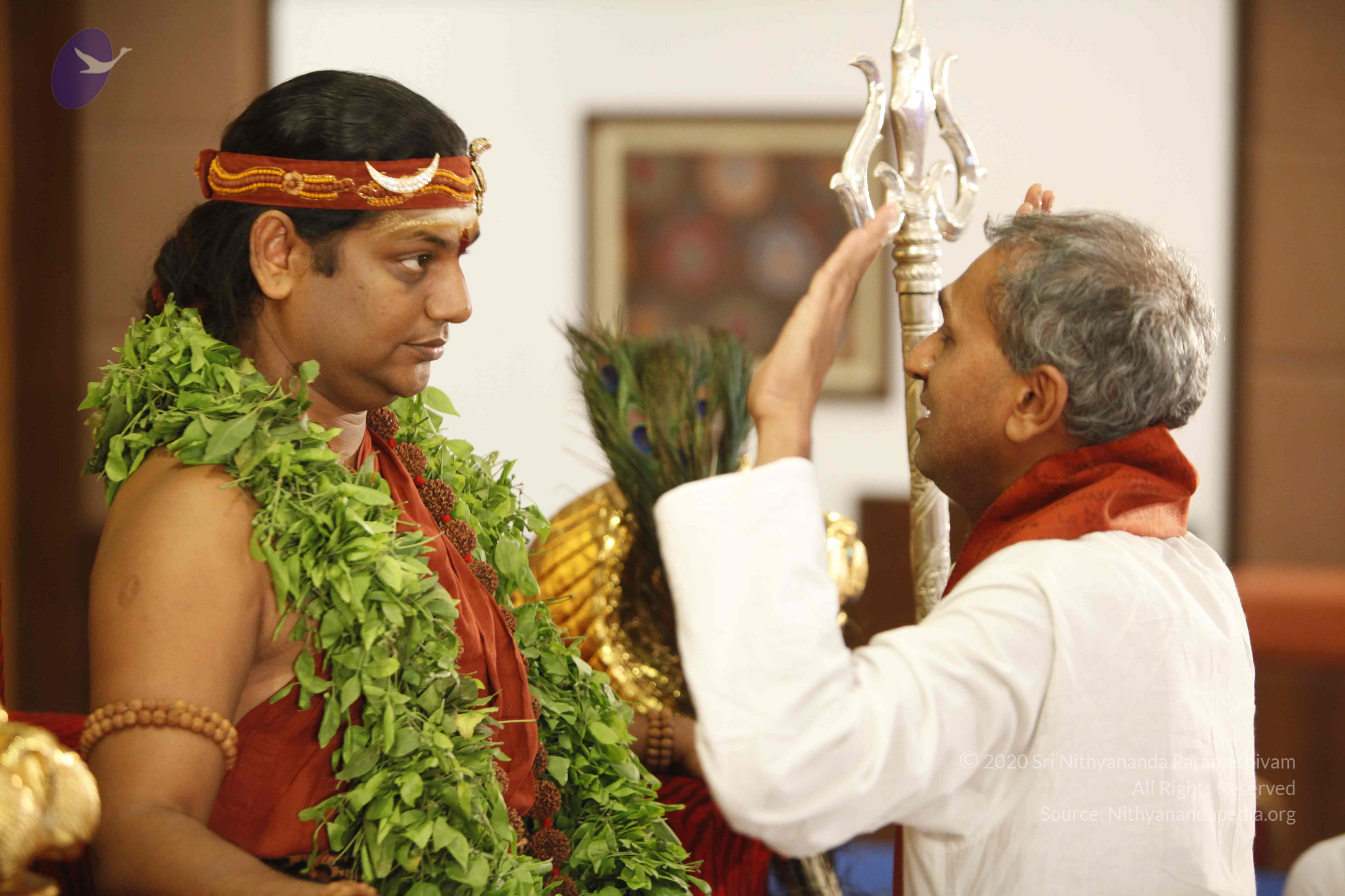 20140501_Photo_1107__MG_3344_CMP_WM