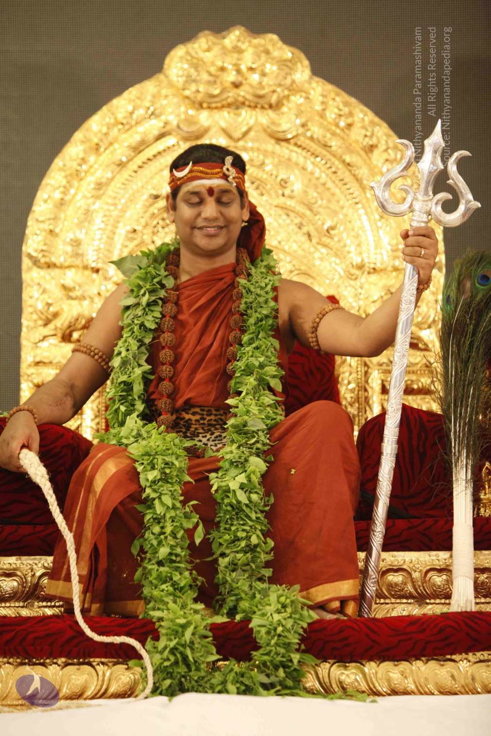 20140501_Photo_1176__MG_3228_CMP_WM