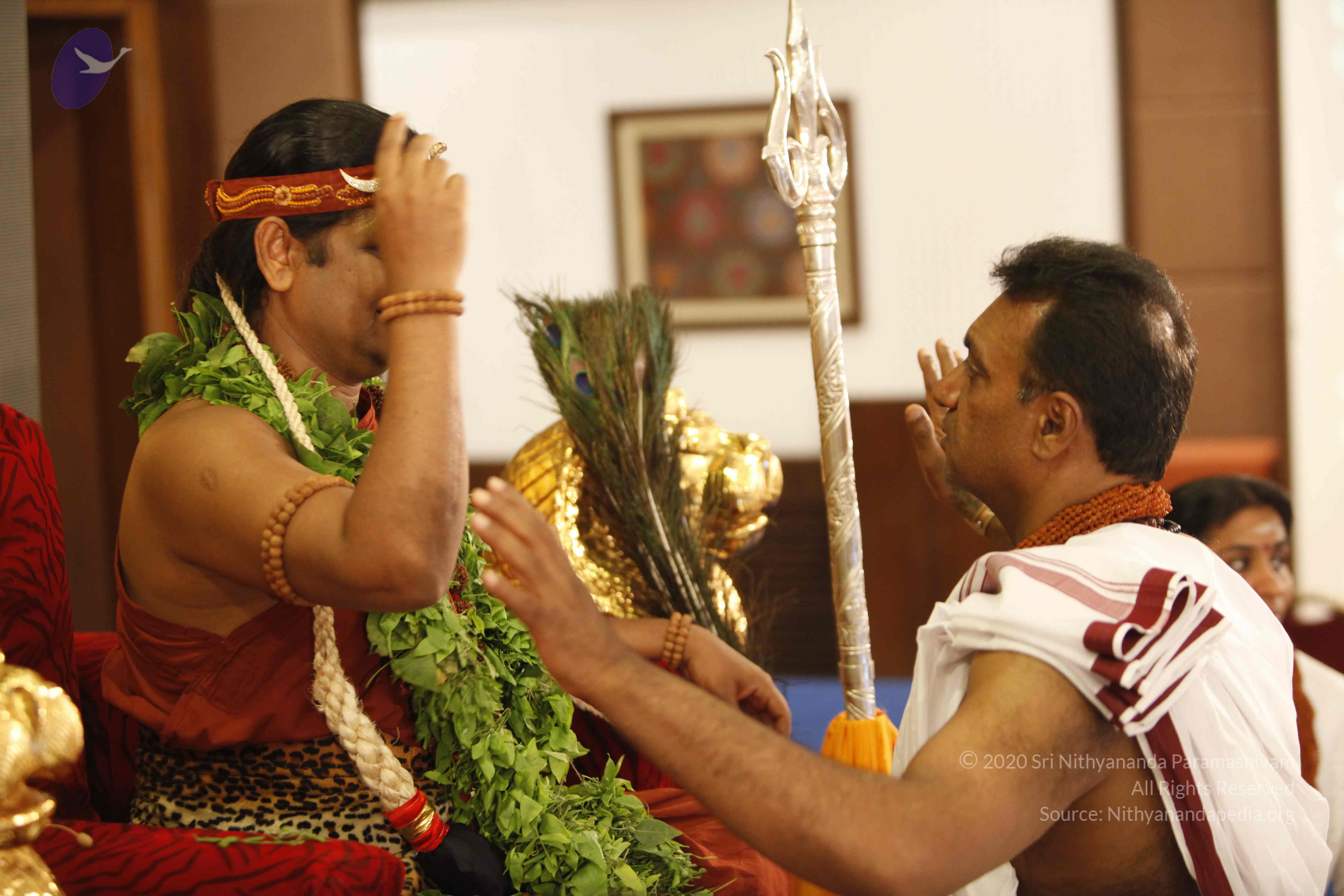 20140501_Photo_1217__MG_3253_CMP_WM