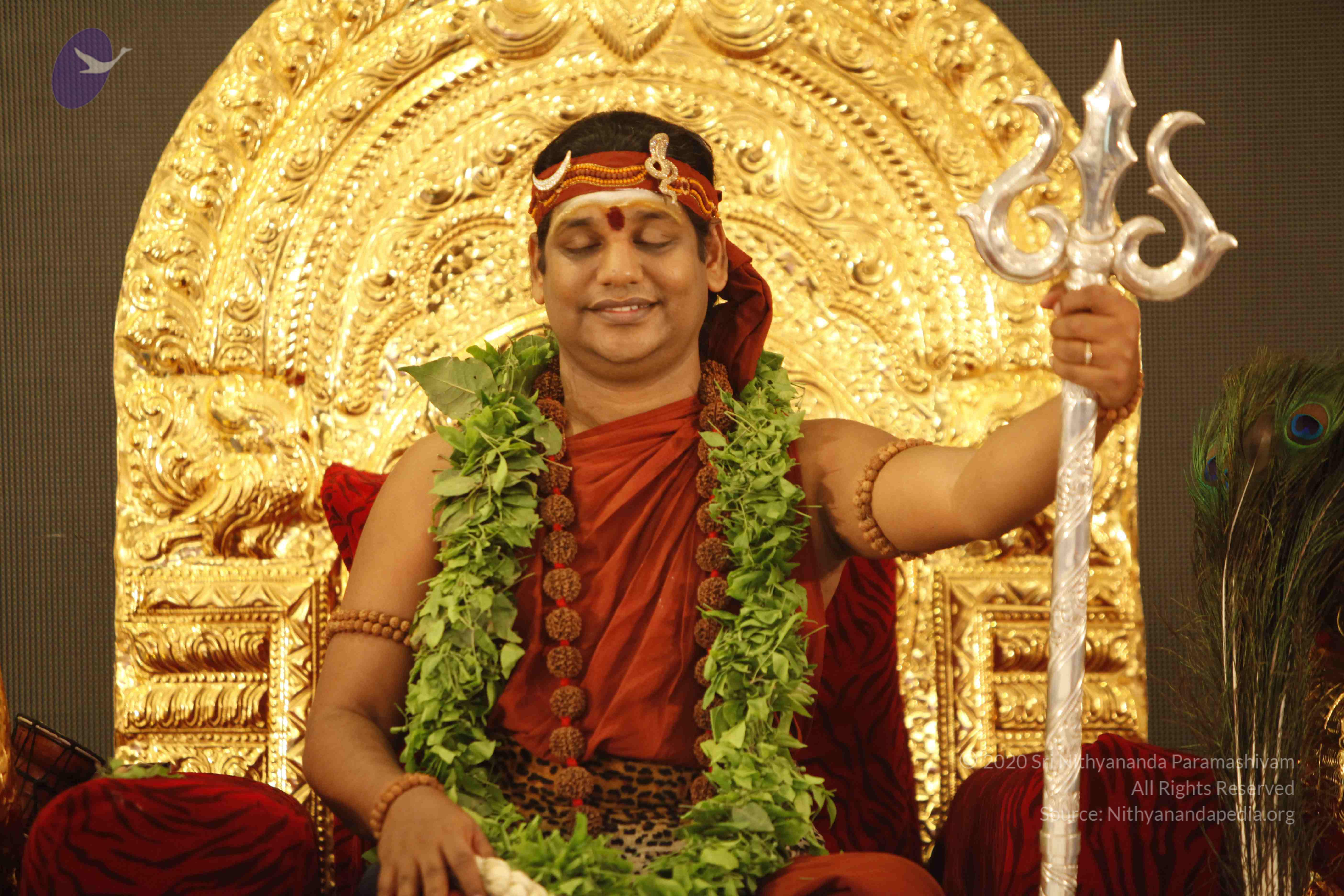 20140501_Photo_1286__MG_3222_CMP_WM