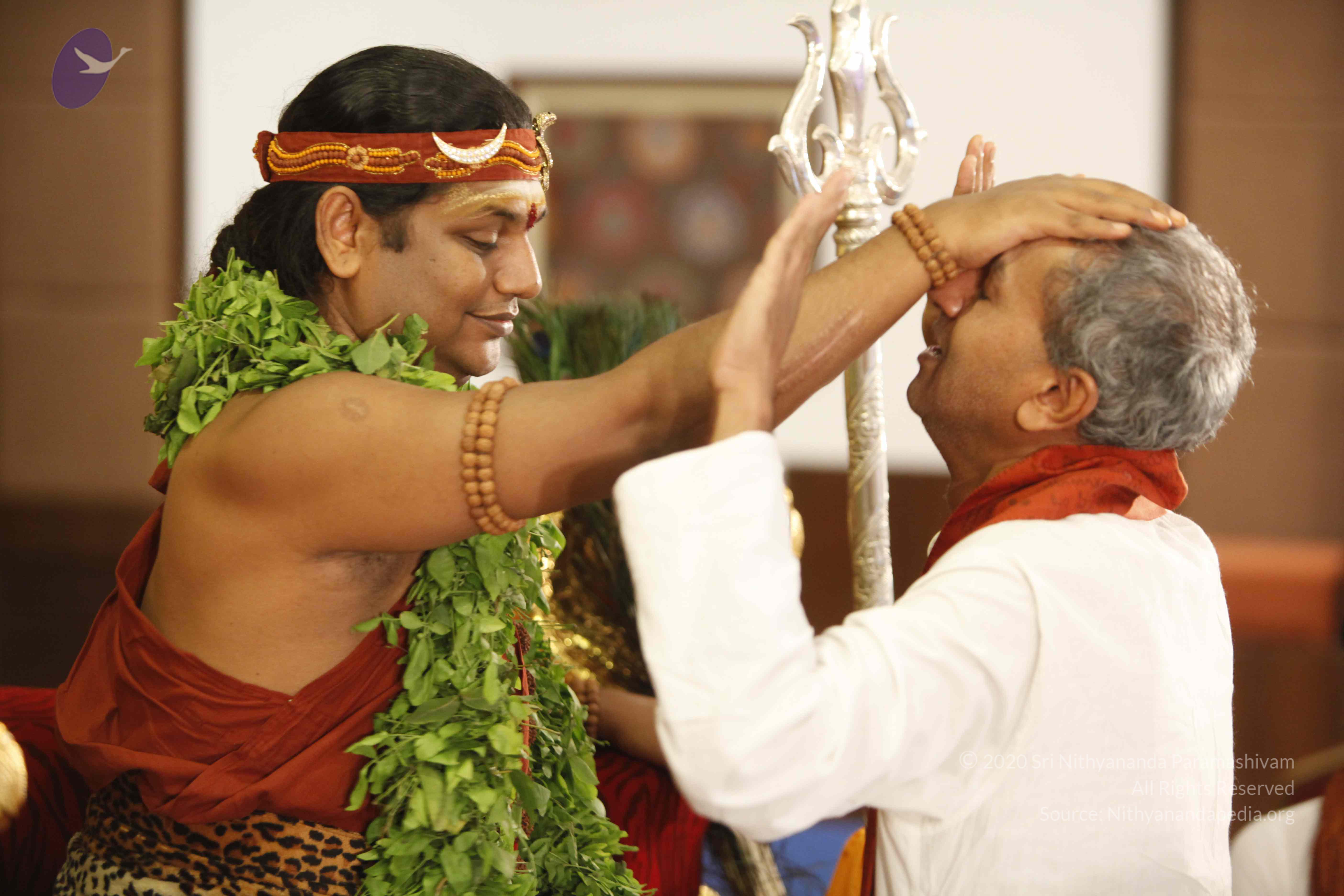 20140501_Photo_1311__MG_3345_CMP_WM