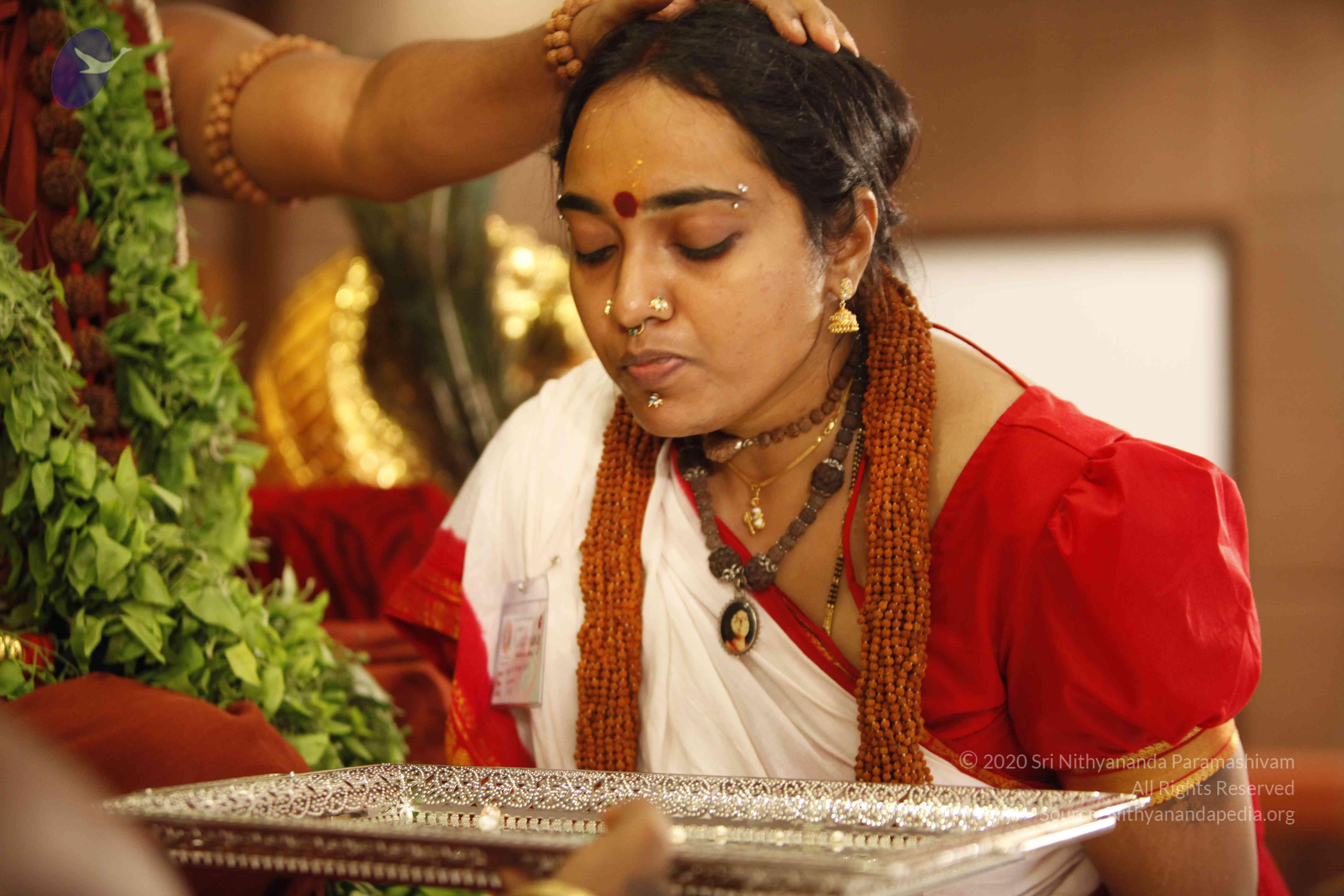 20140501_Photo_1005__MG_3279_CMP_WM