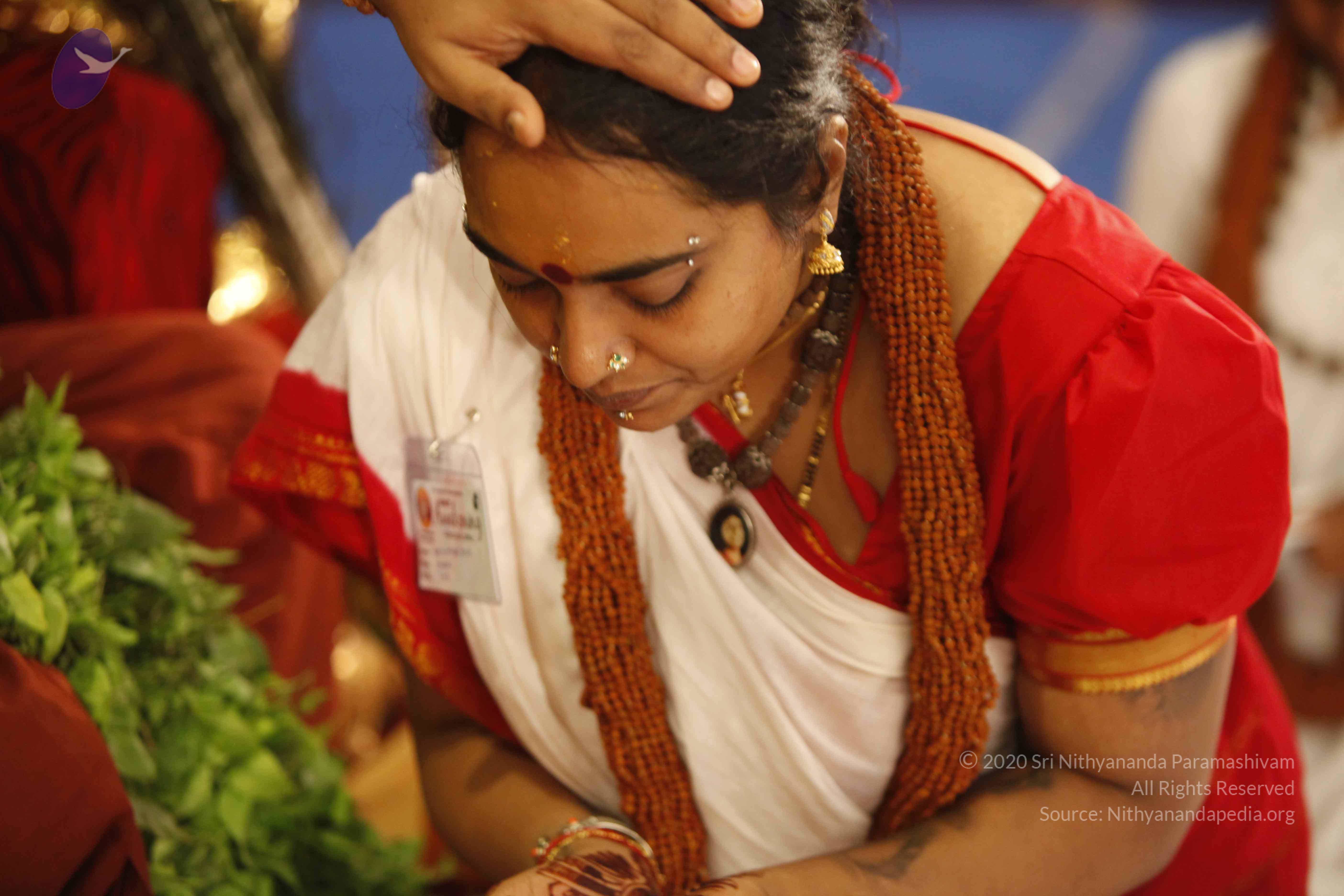 20140501_Photo_1011__MG_3267_CMP_WM