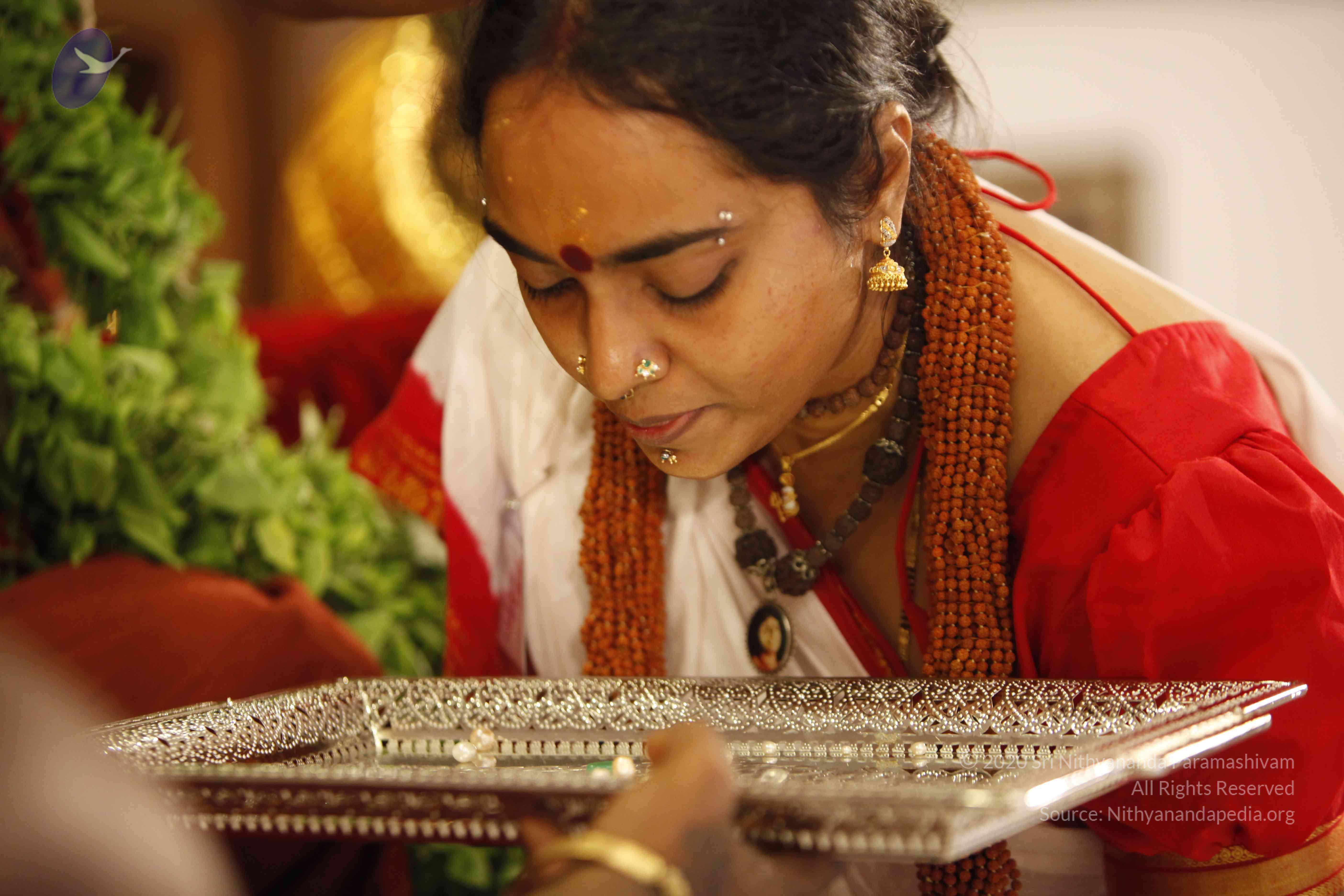 20140501_Photo_1017__MG_3282_CMP_WM