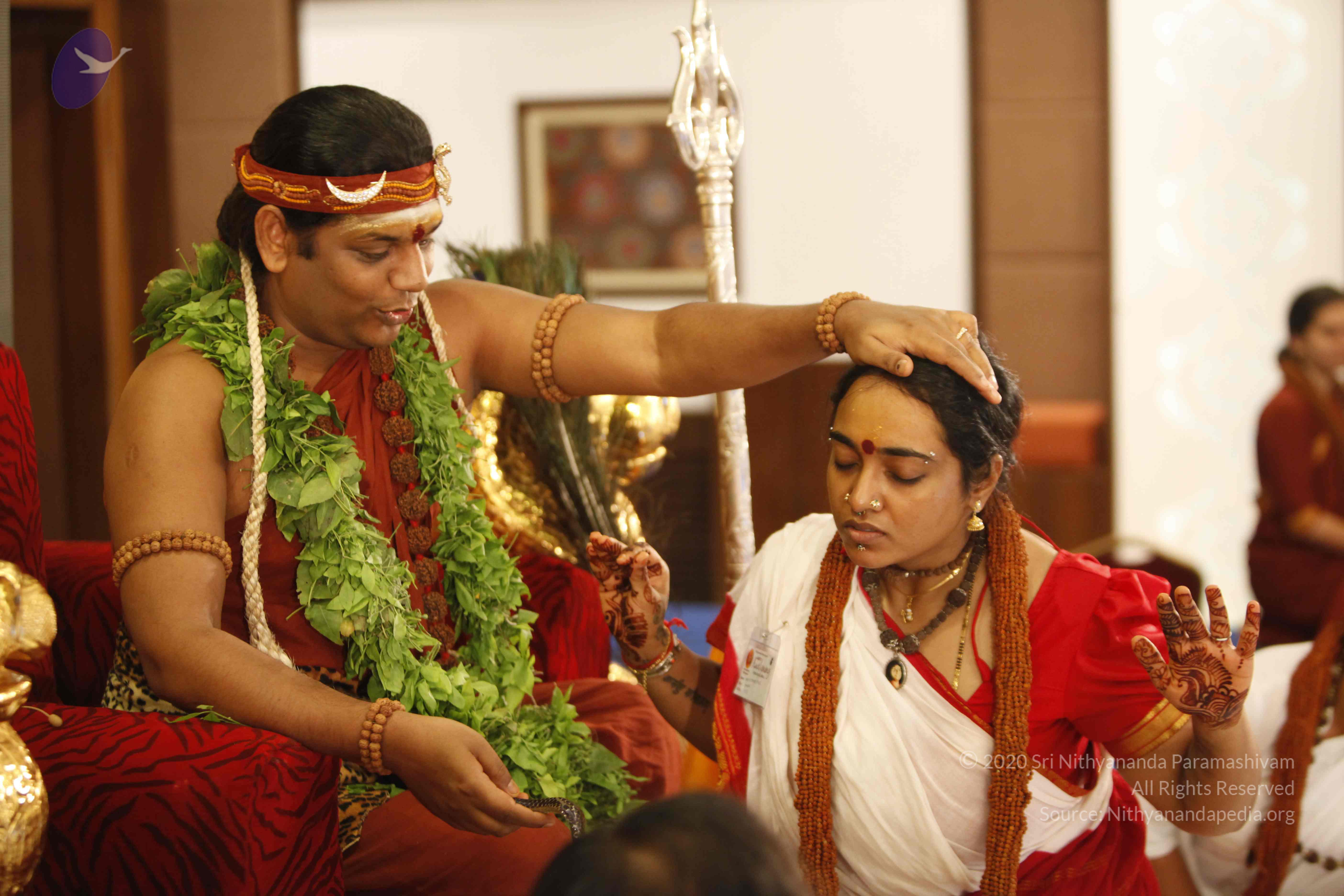 20140501_Photo_1022__MG_3264_CMP_WM