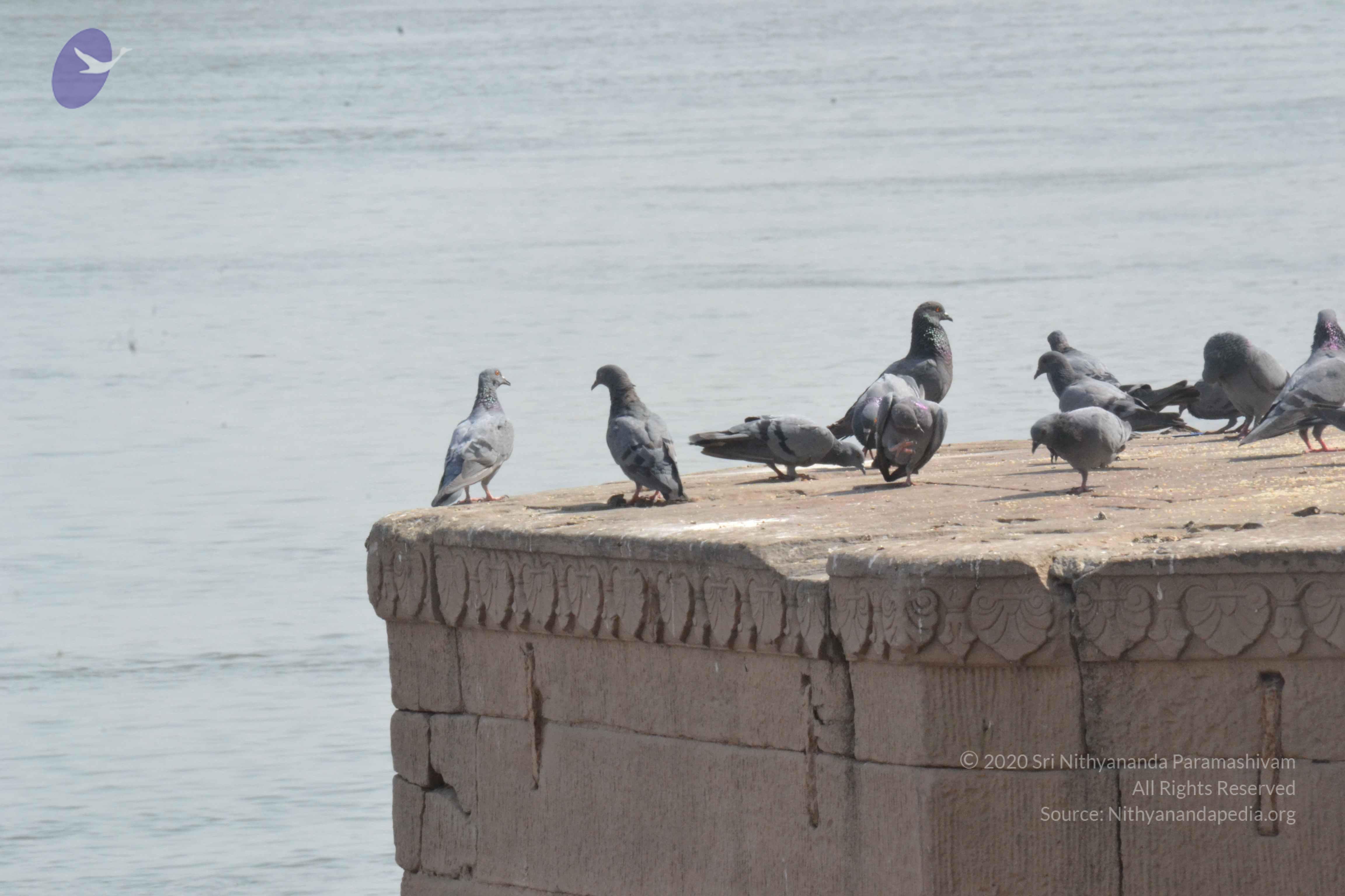 20140501_Photo_1010_DSC_7718_CMP_WM