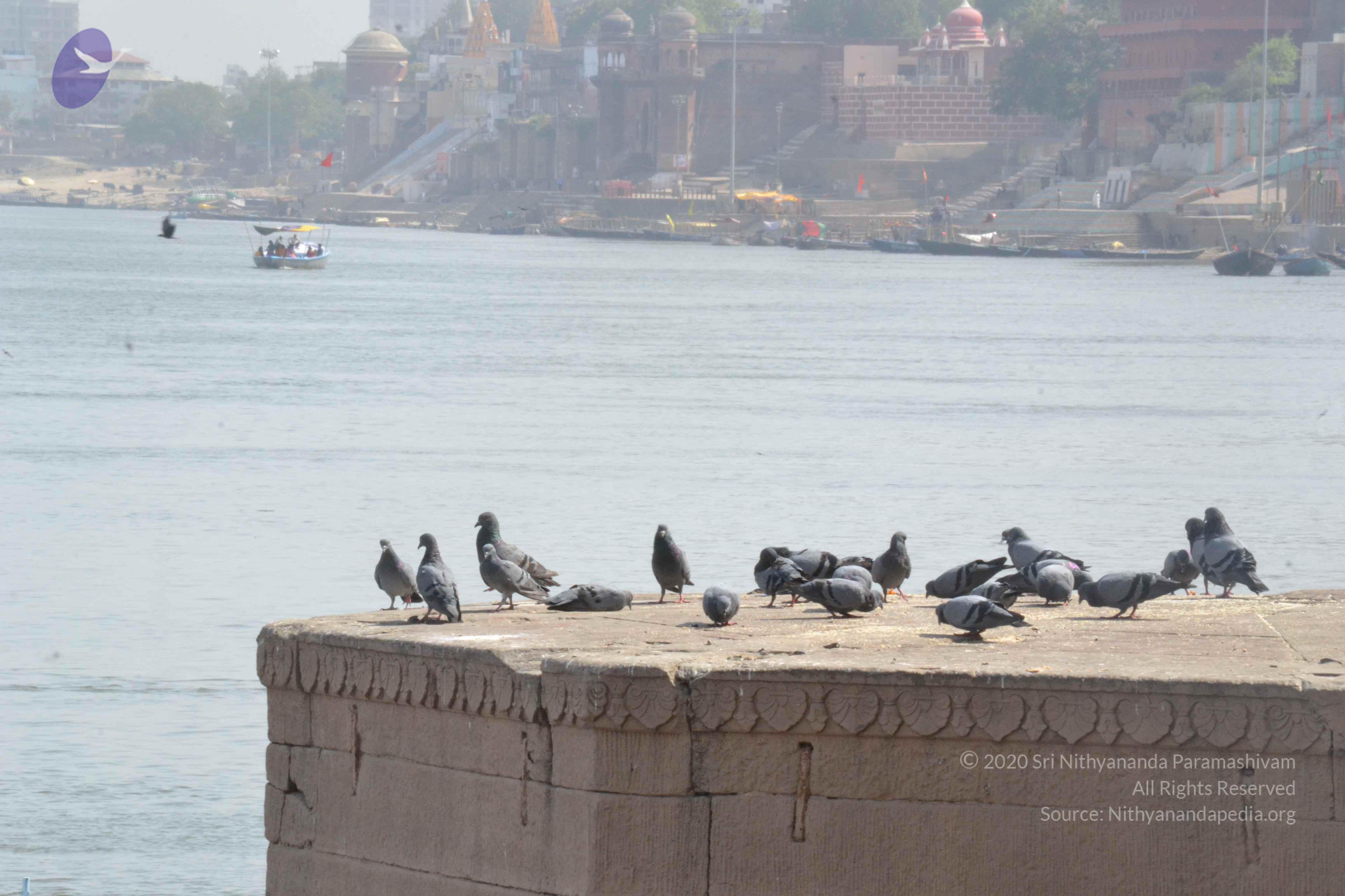 20140501_Photo_1013_DSC_7715_CMP_WM