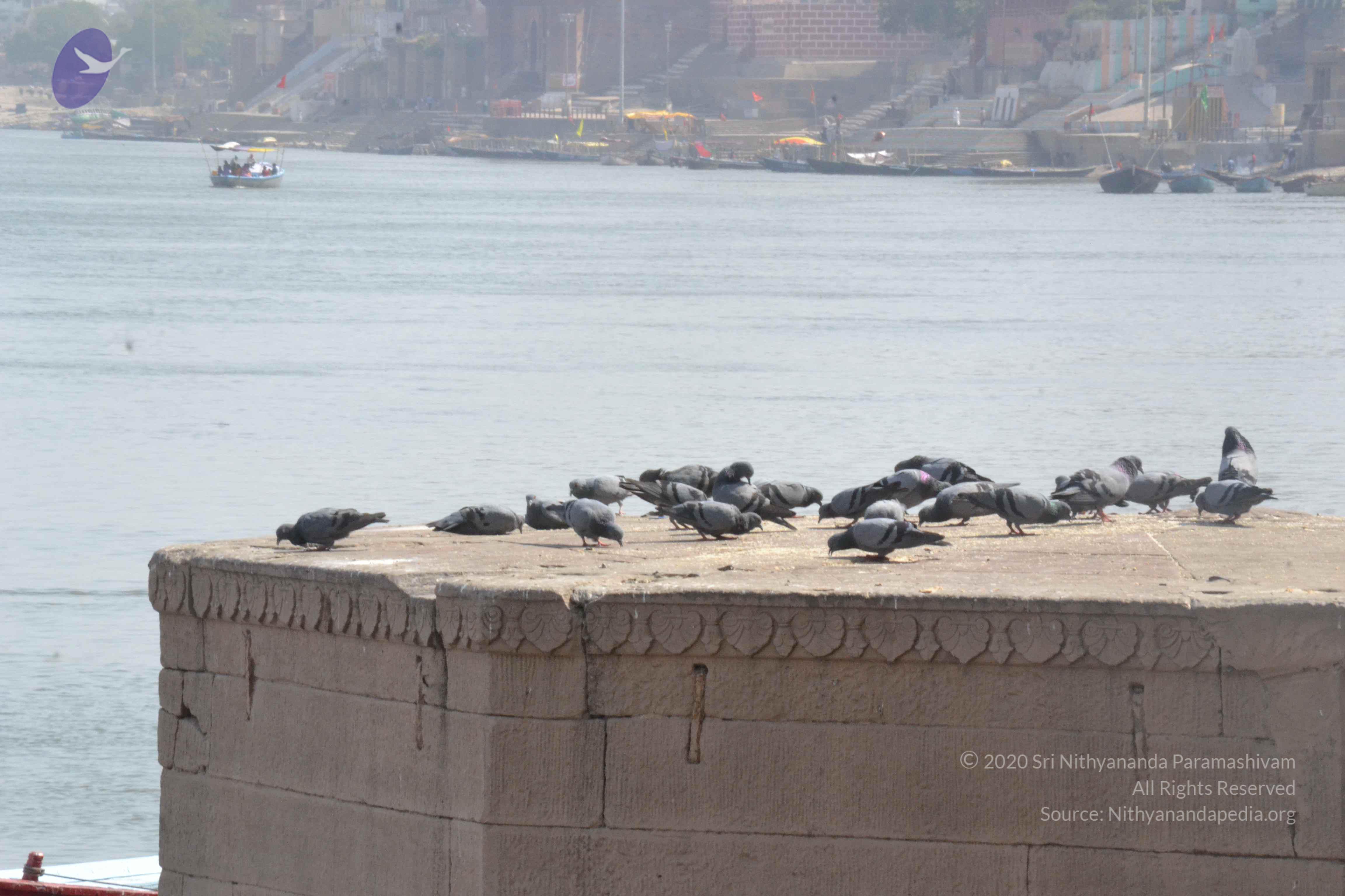 20140501_Photo_1015_DSC_7712_CMP_WM