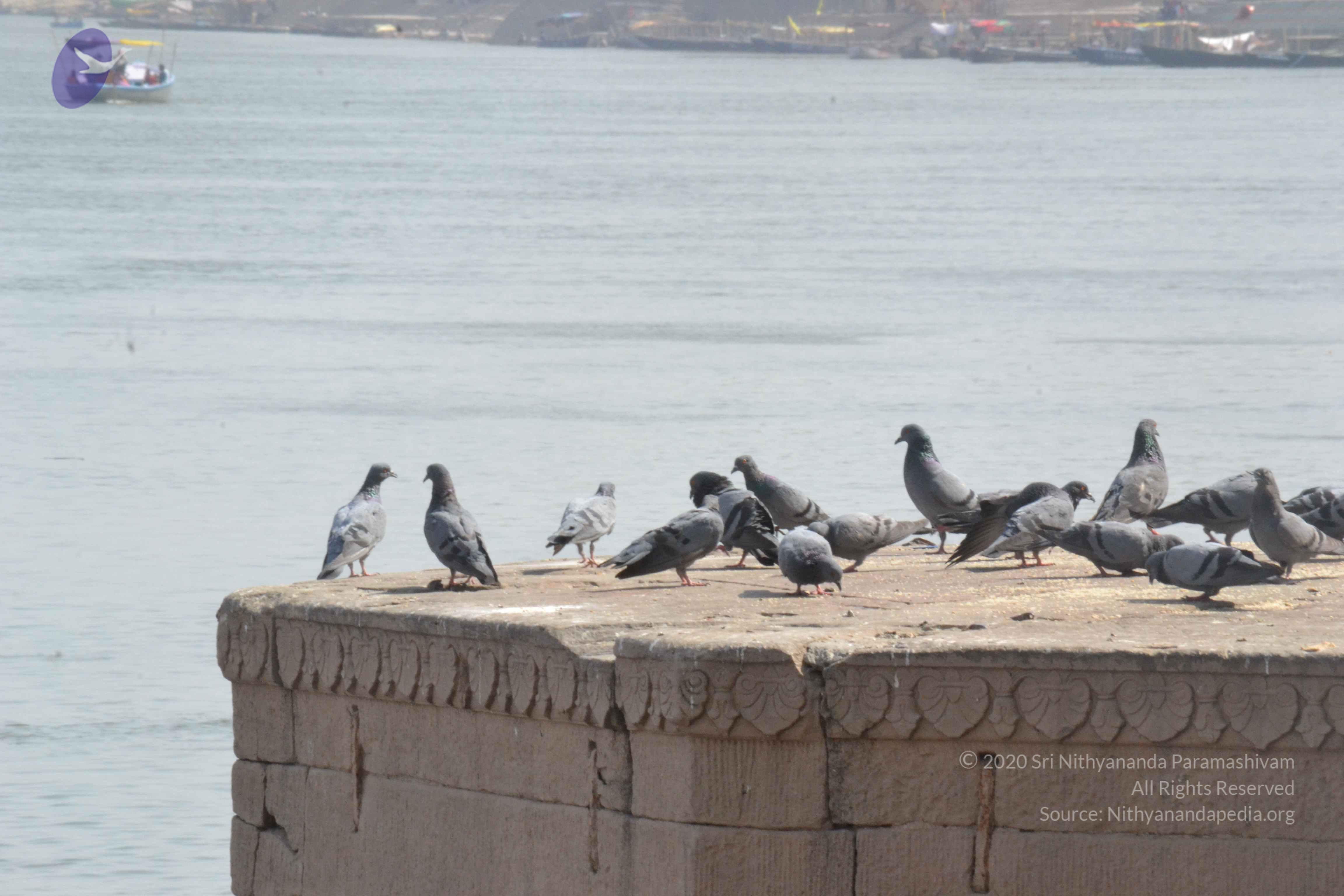 20140501_Photo_1025_DSC_7720_CMP_WM