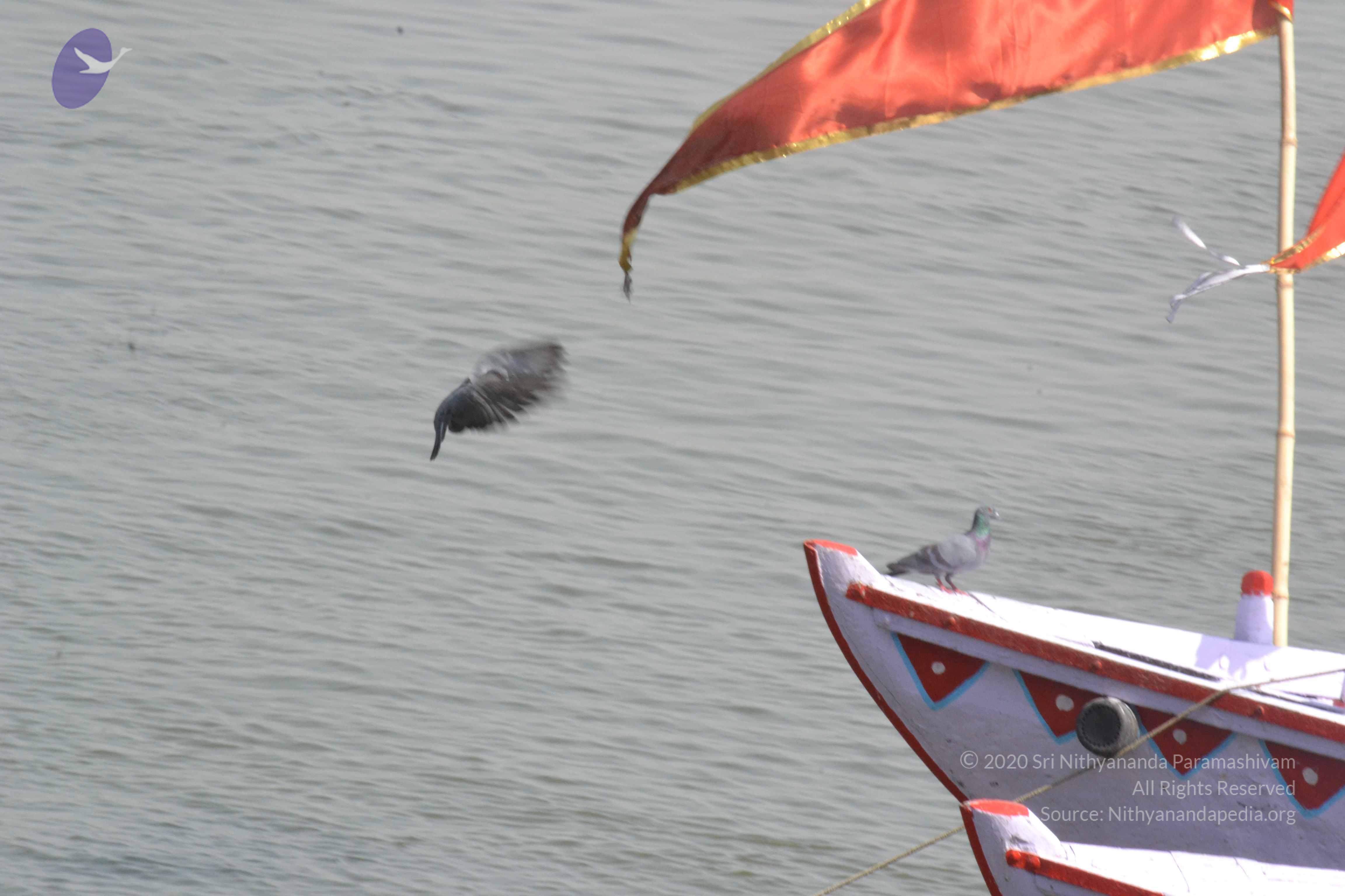 20140501_Photo_1045_DSC_7721_CMP_WM