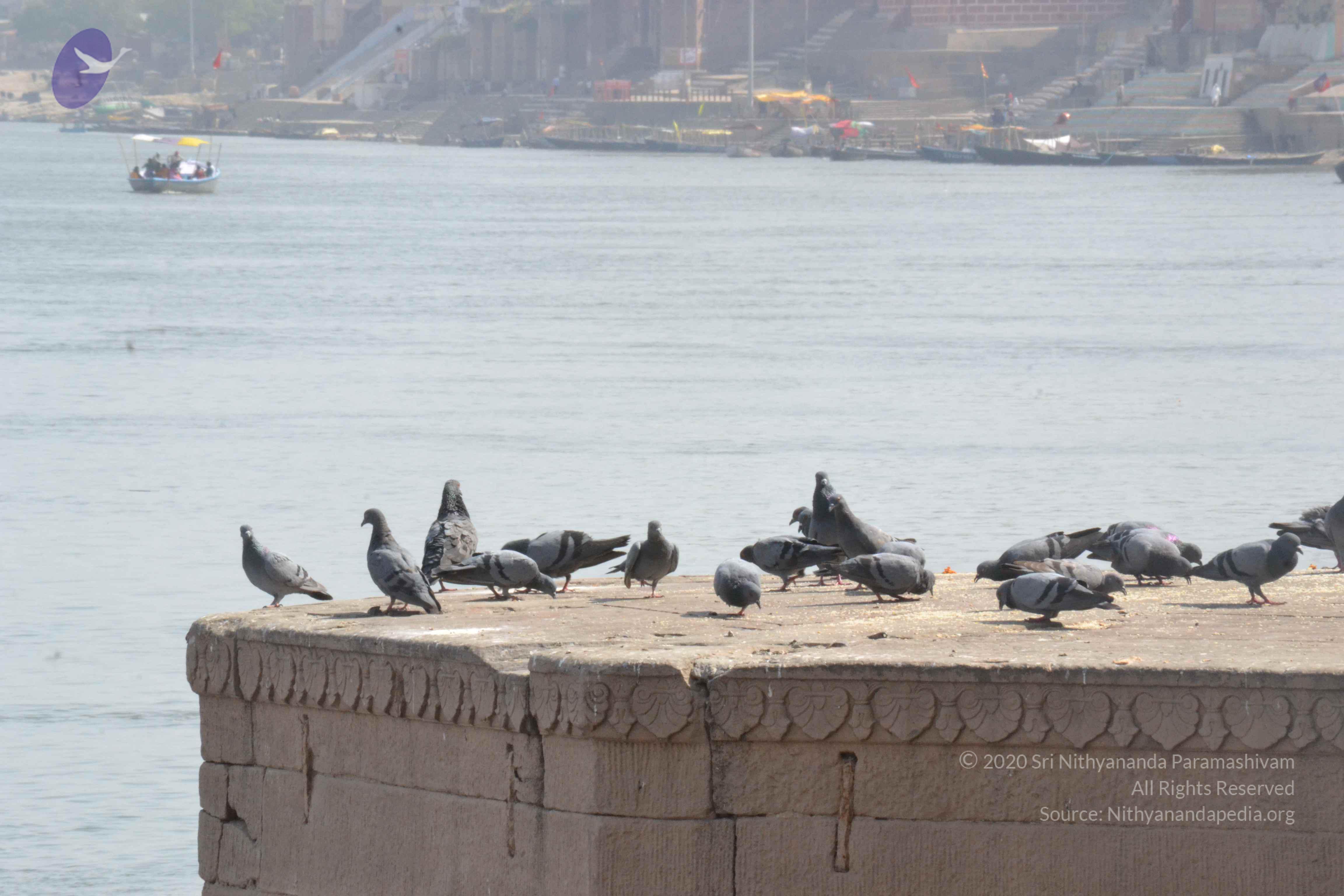 20140501_Photo_1046_DSC_7716_CMP_WM