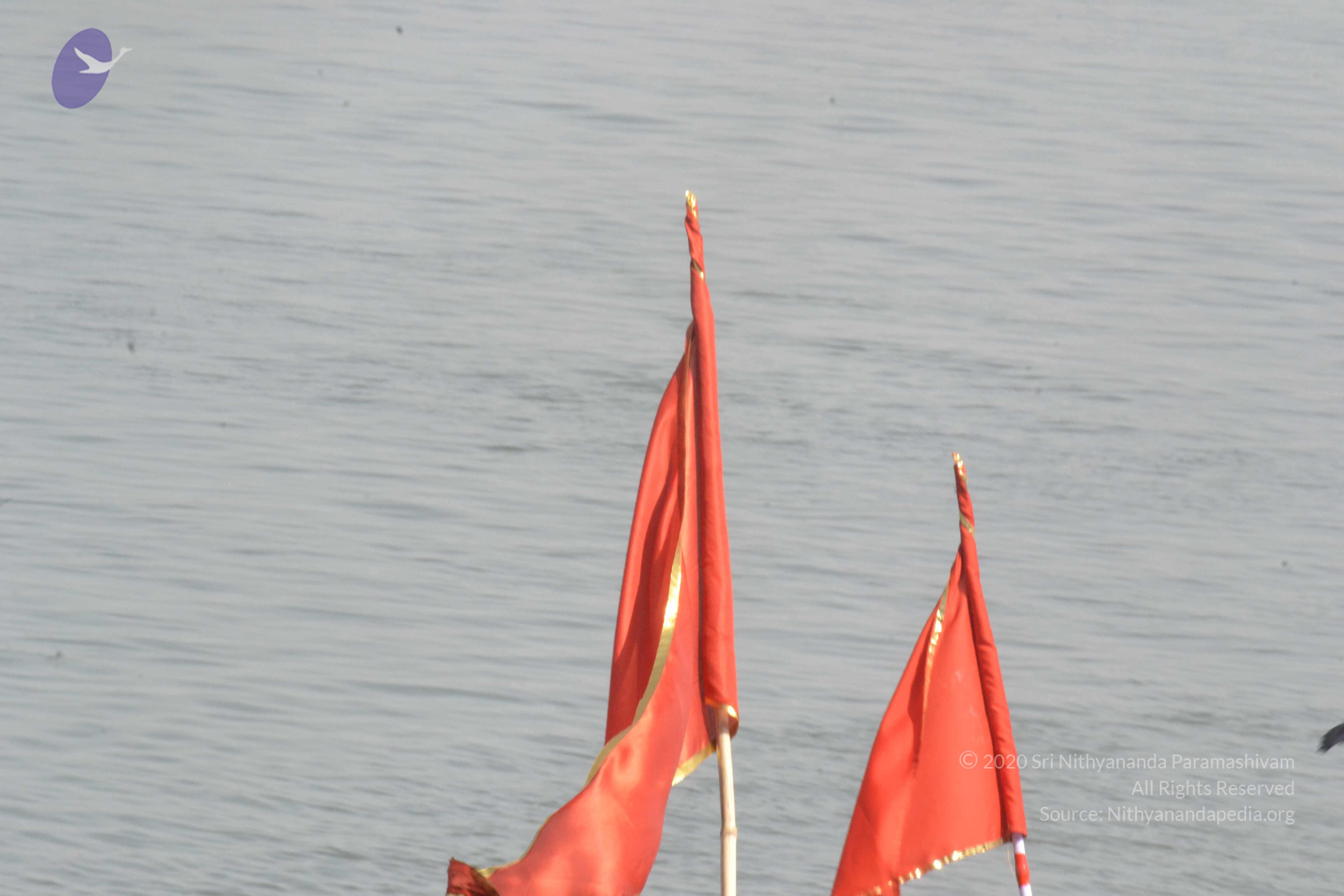 20140501_Photo_1049_DSC_7724_CMP_WM