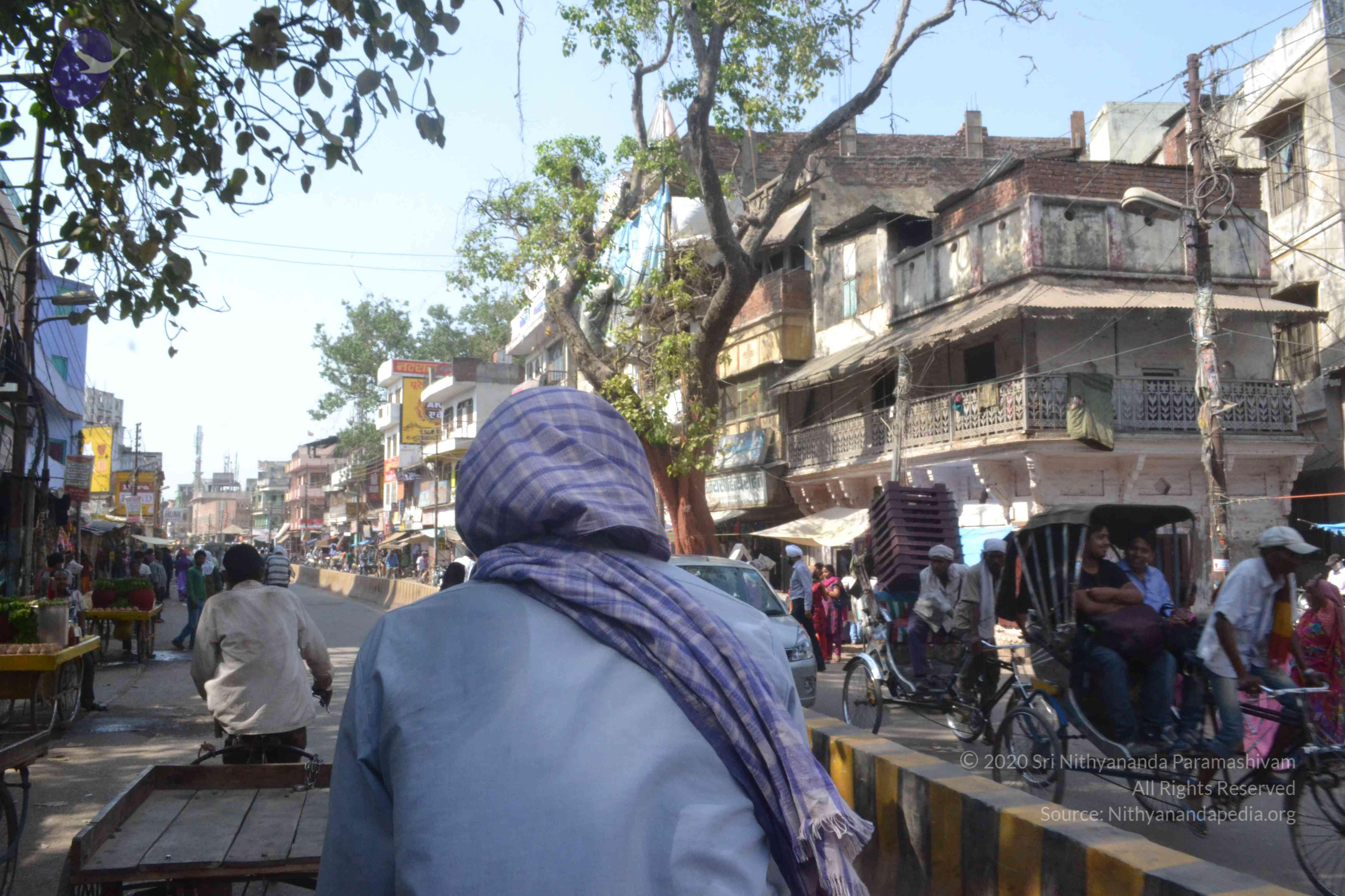 20140501_Photo_1050_DSC_7729_CMP_WM