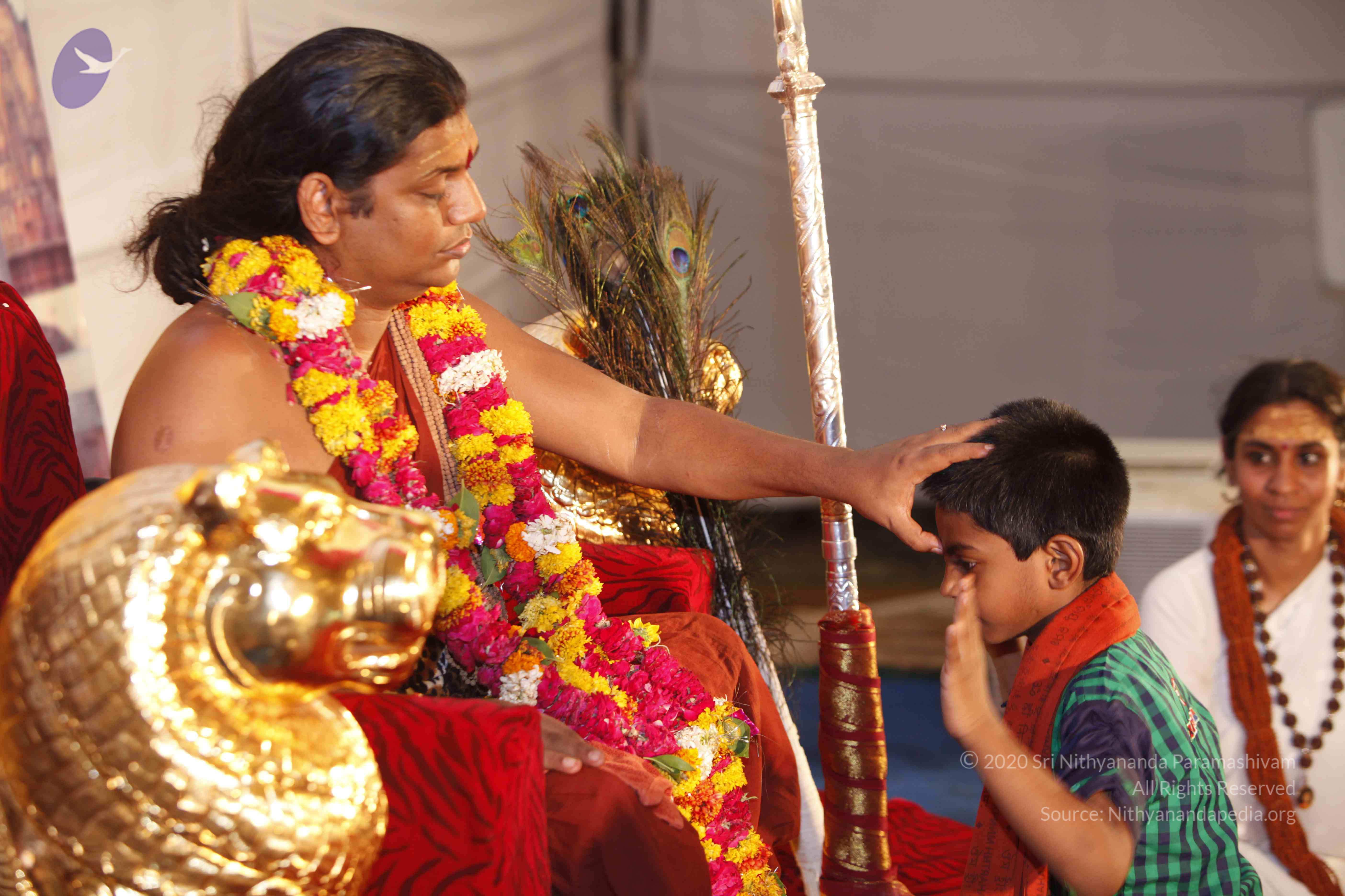 20140507_Photo_1018__MG_6652_CMP_WM