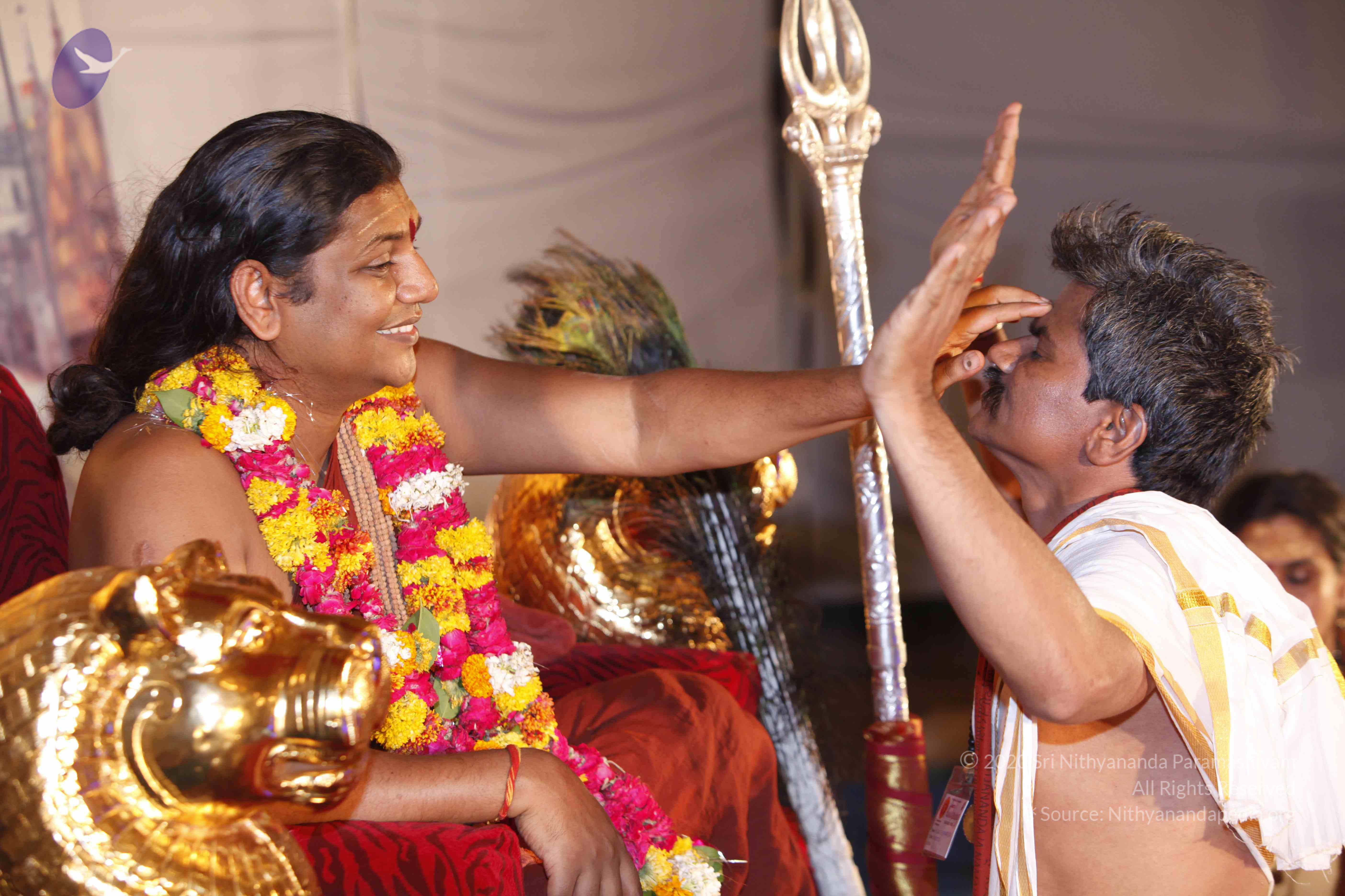 20140507_Photo_1033__MG_6711_CMP_WM