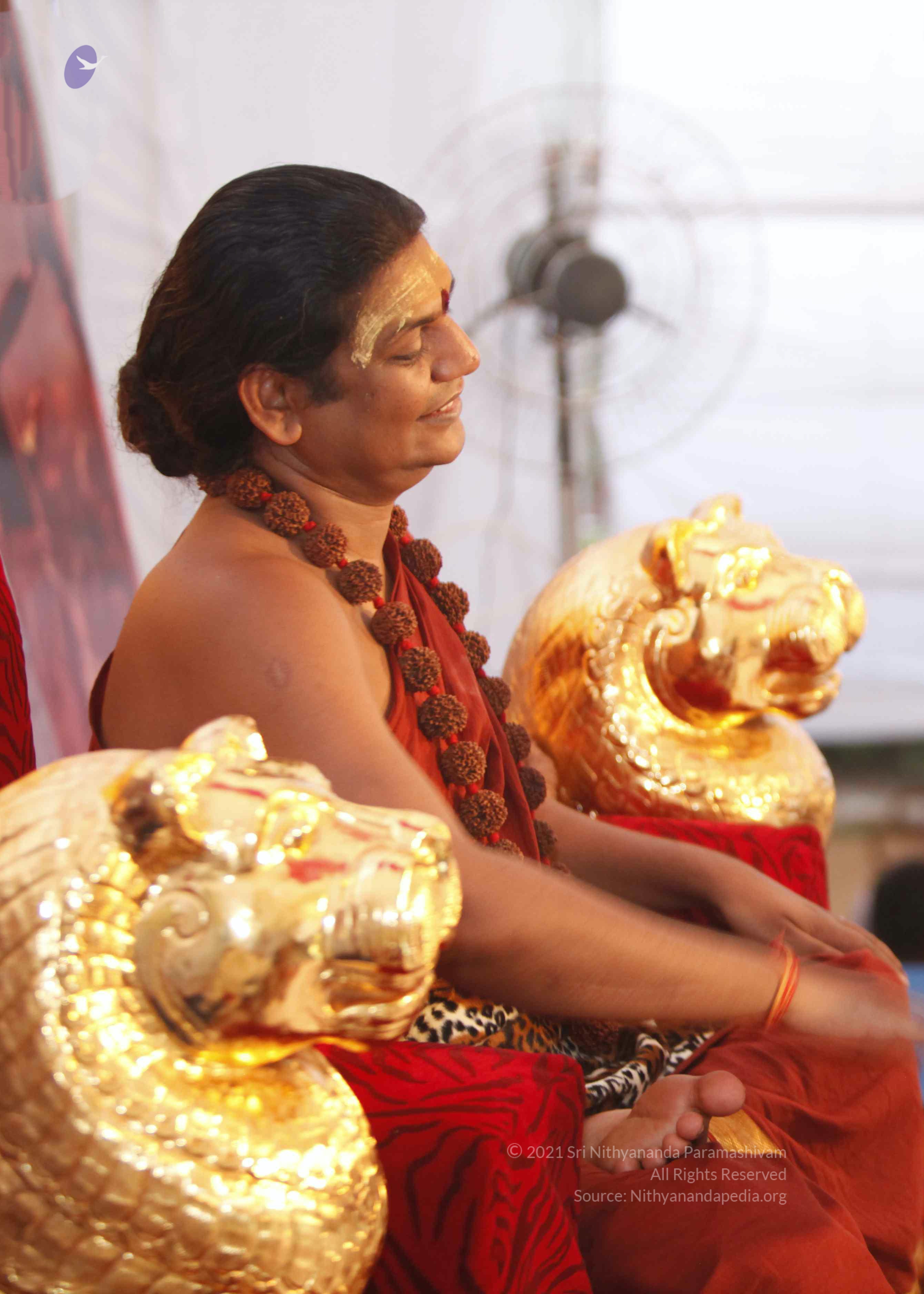 20140509_Photo_1026__MG_7386_CMP_WM