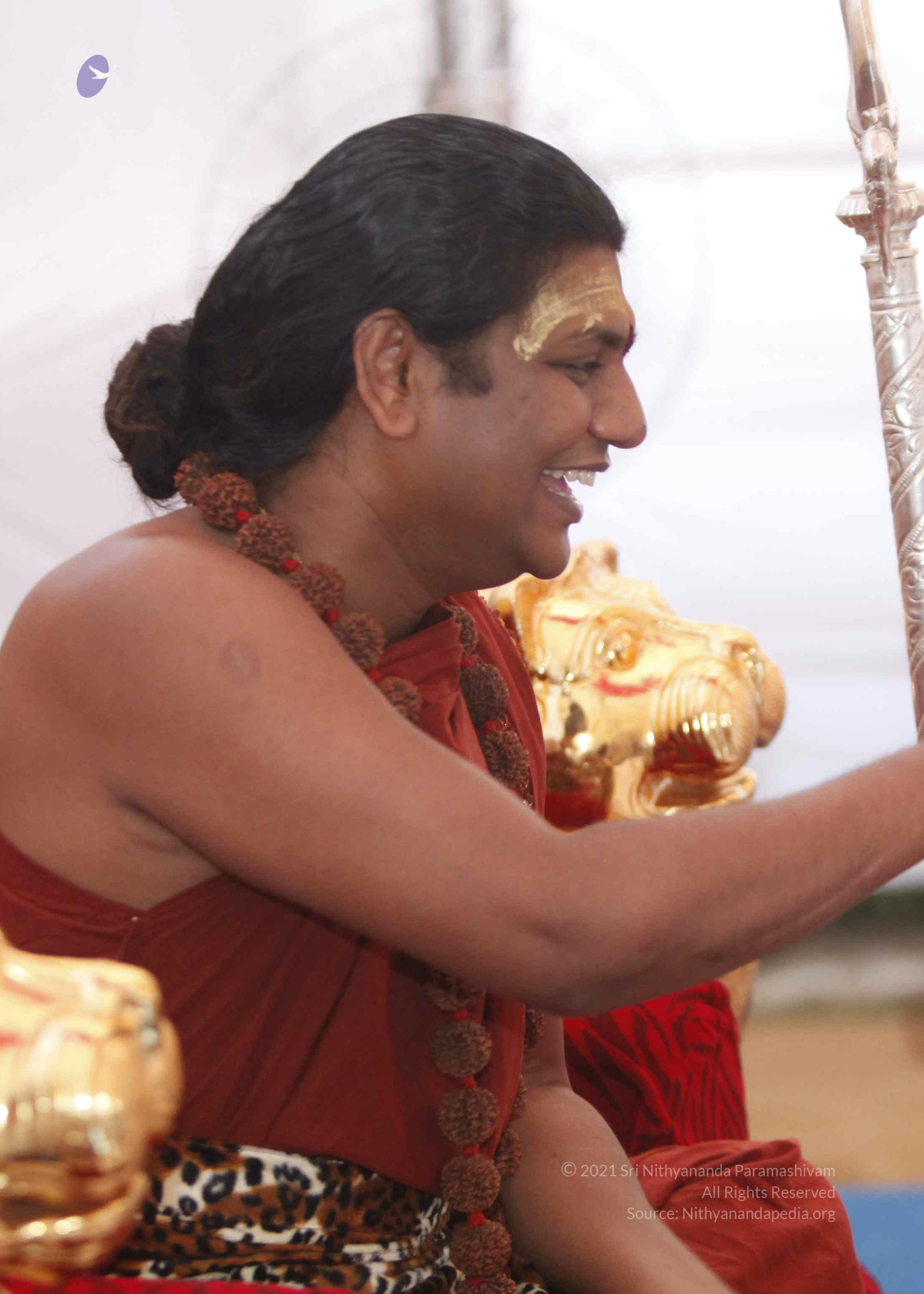 20140509_Photo_1047__MG_7376_CMP_WM