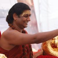 20140509_Photo_1051__MG_7281_CMP_WM