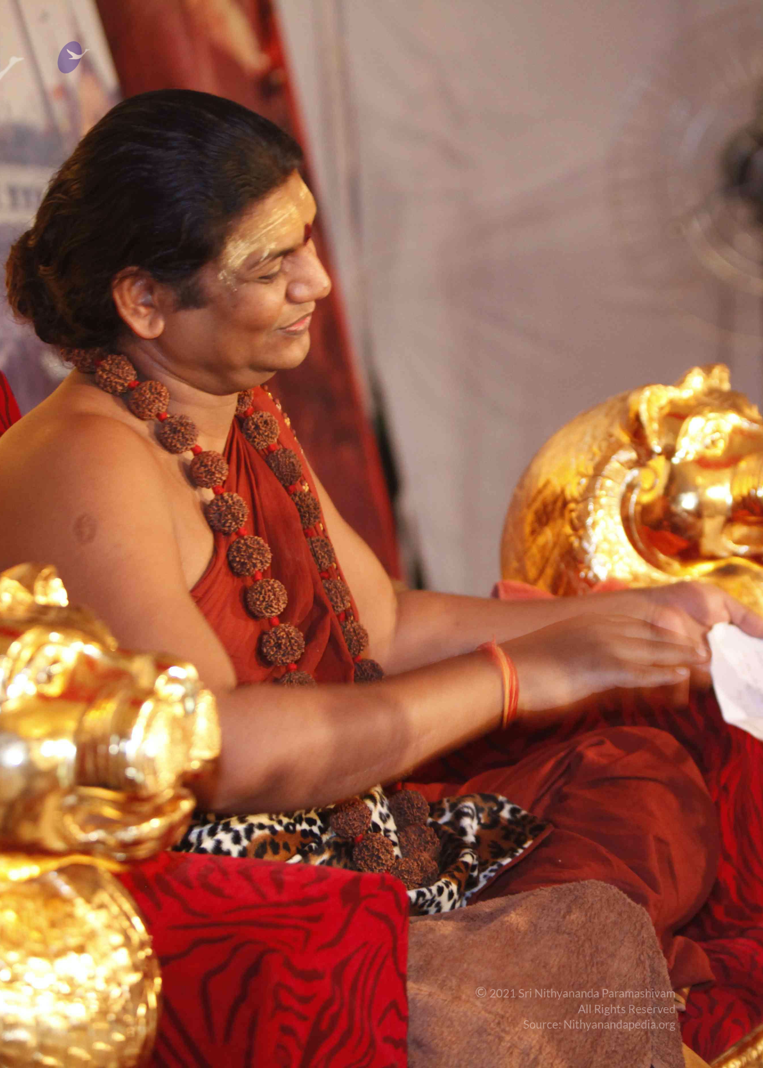 20140509_Photo_1072__MG_7487_CMP_WM