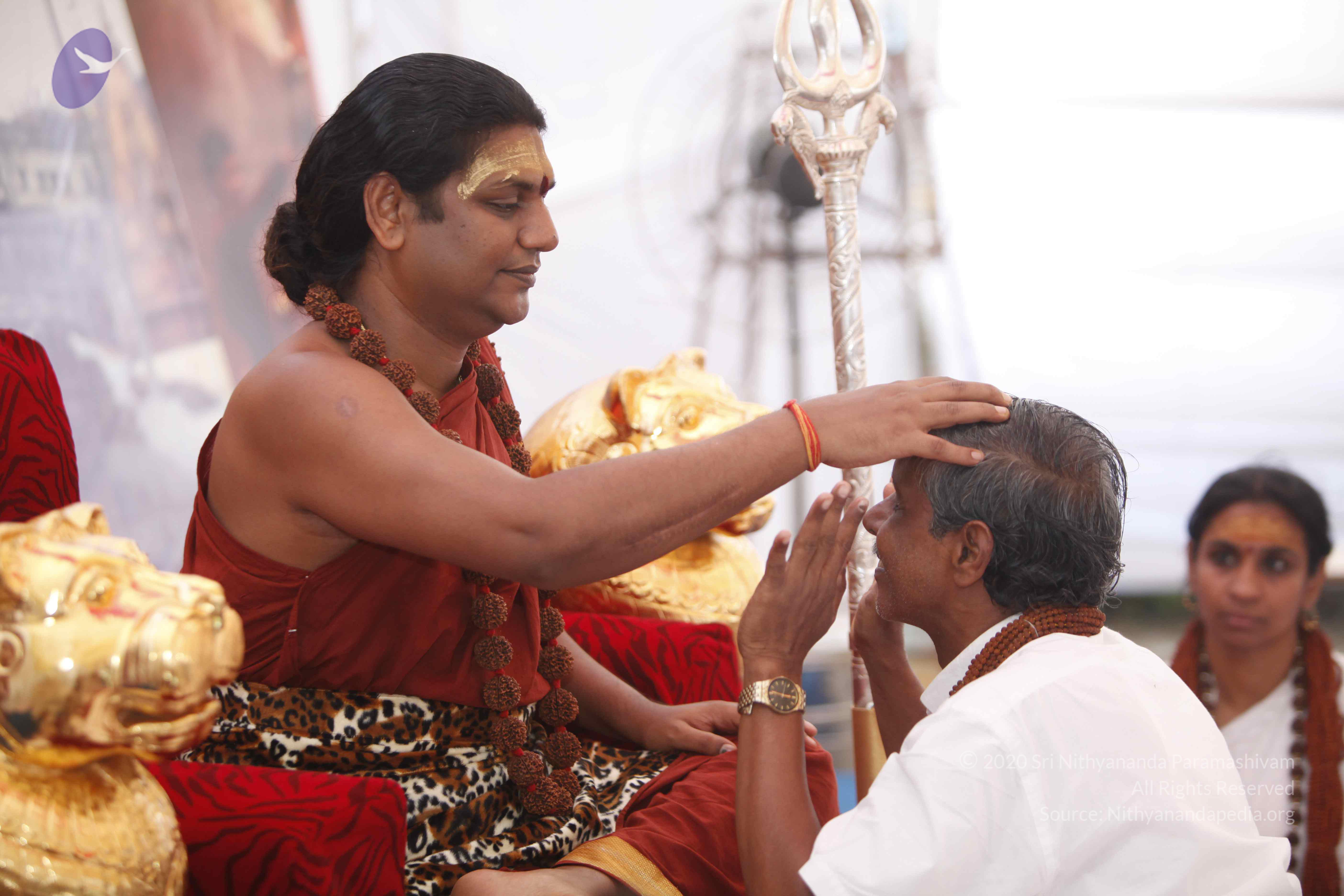 20140509_Photo_1079__MG_7296_CMP_WM