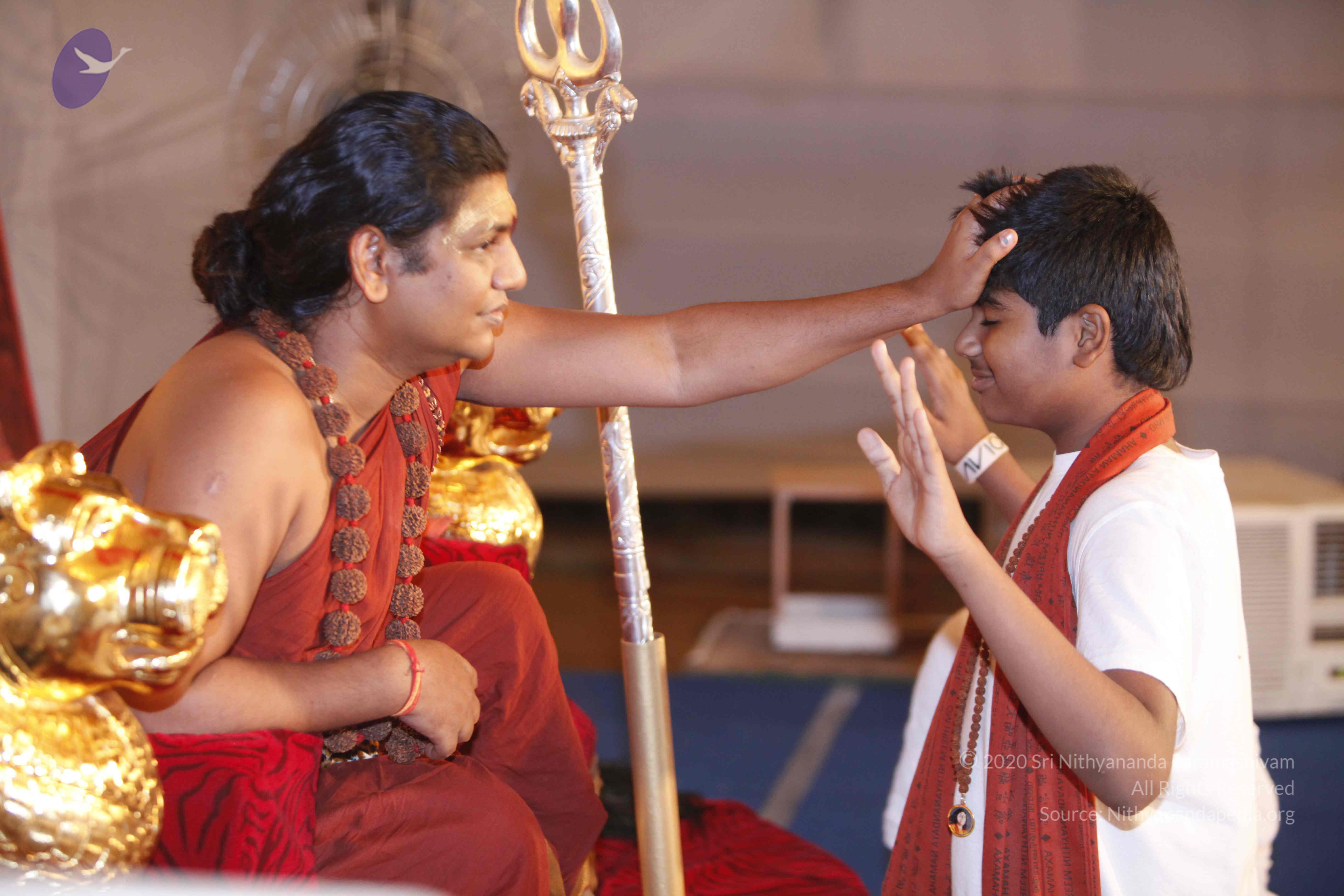 20140509_Photo_1084__MG_7553_CMP_WM