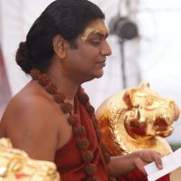 20140509_Photo_1101__MG_7333_CMP_WM