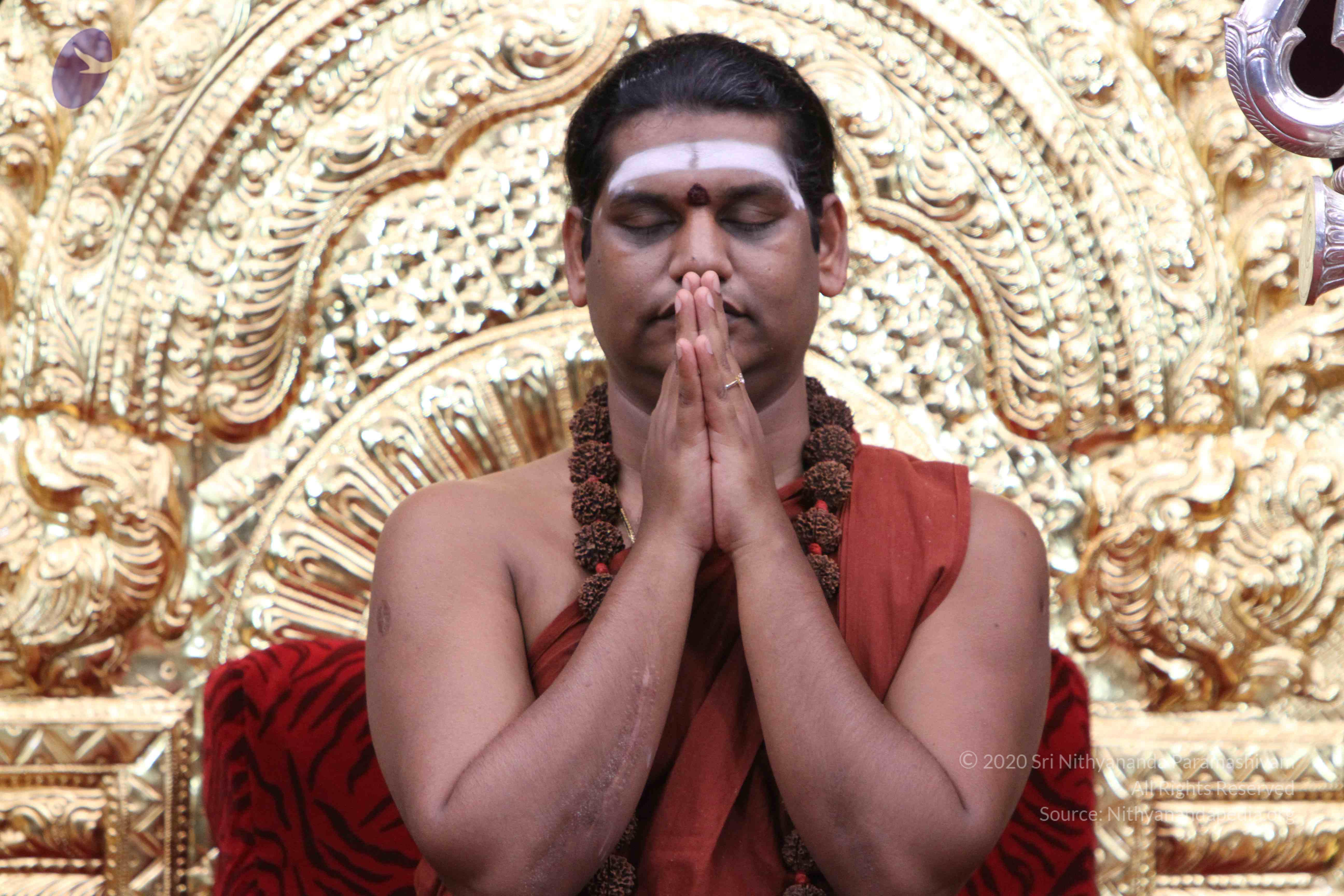 20140903_Photo_1003_IMG_2062_CMP_WM