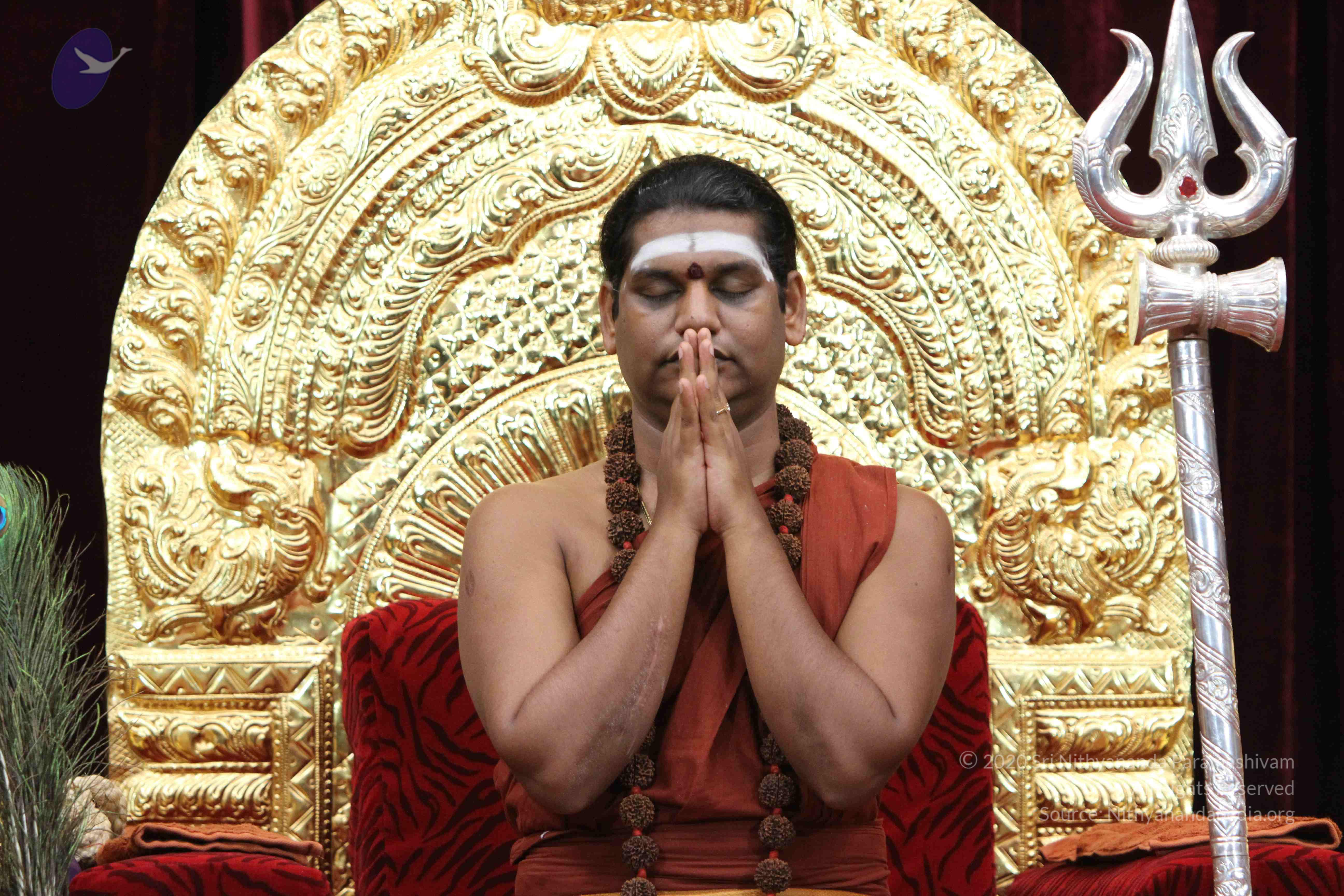 20140903_Photo_1005_IMG_2064_CMP_WM