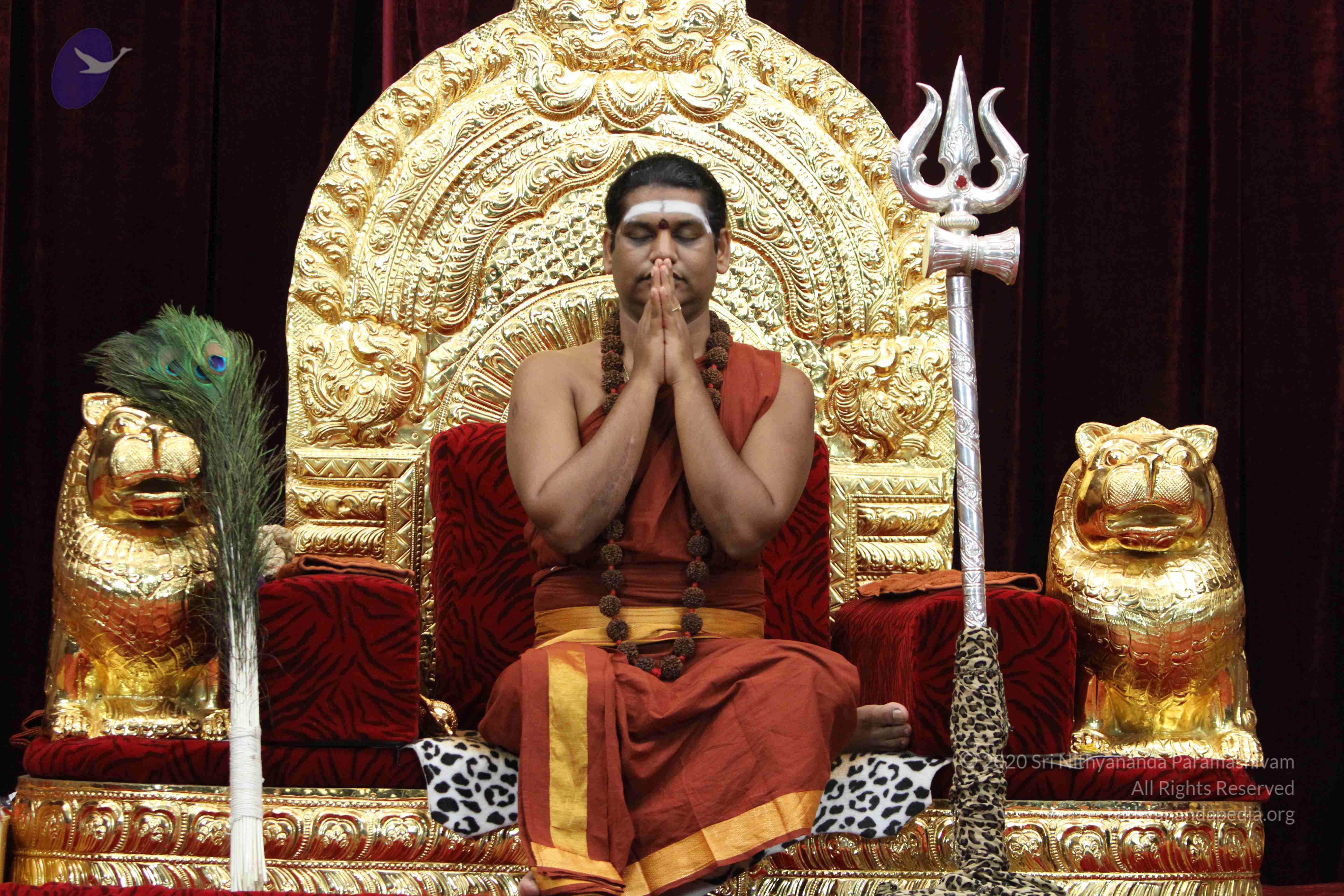 20140903_Photo_1011_IMG_2063_CMP_WM