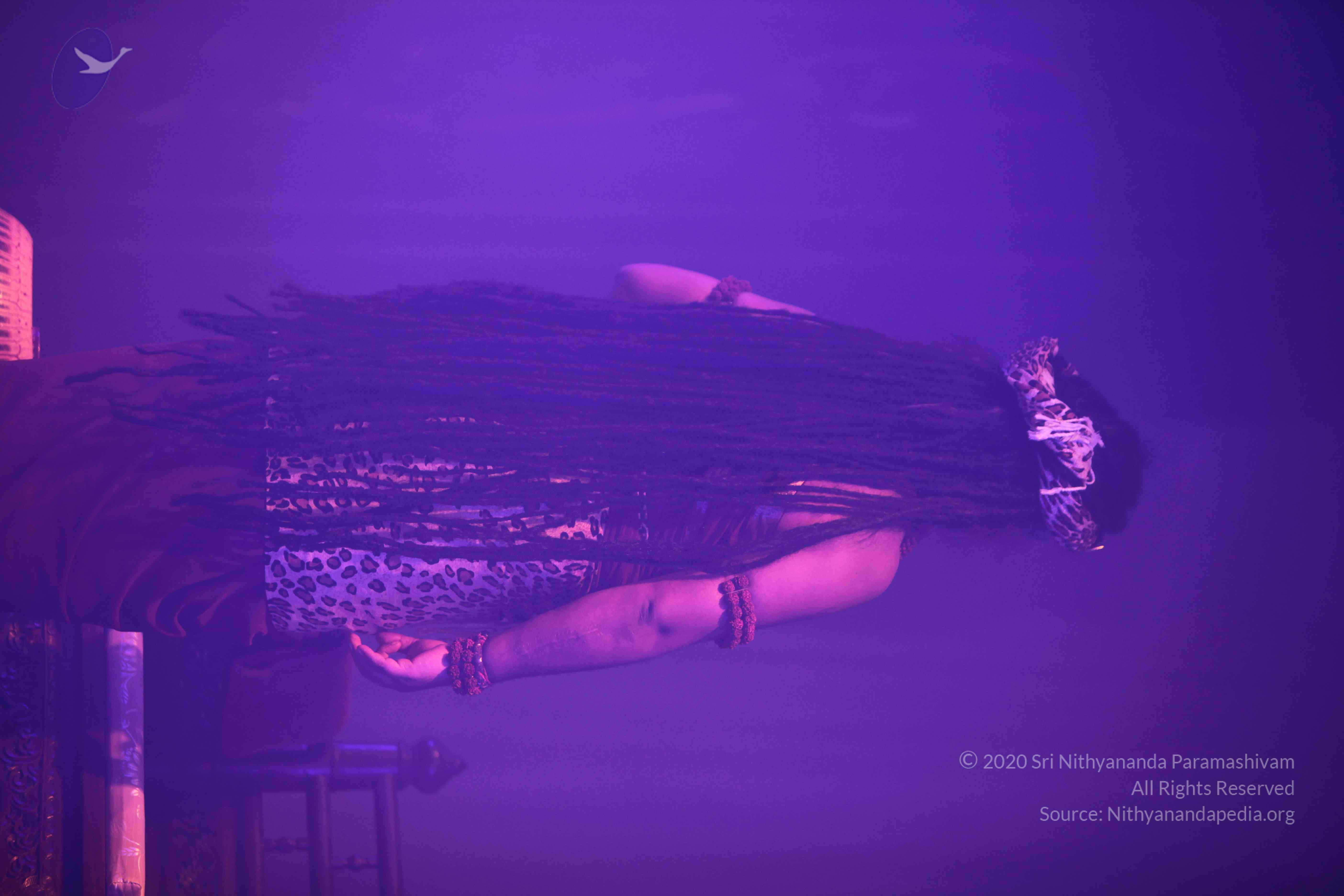 20151207_Photo_1001_IMG_6013_CMP_WM