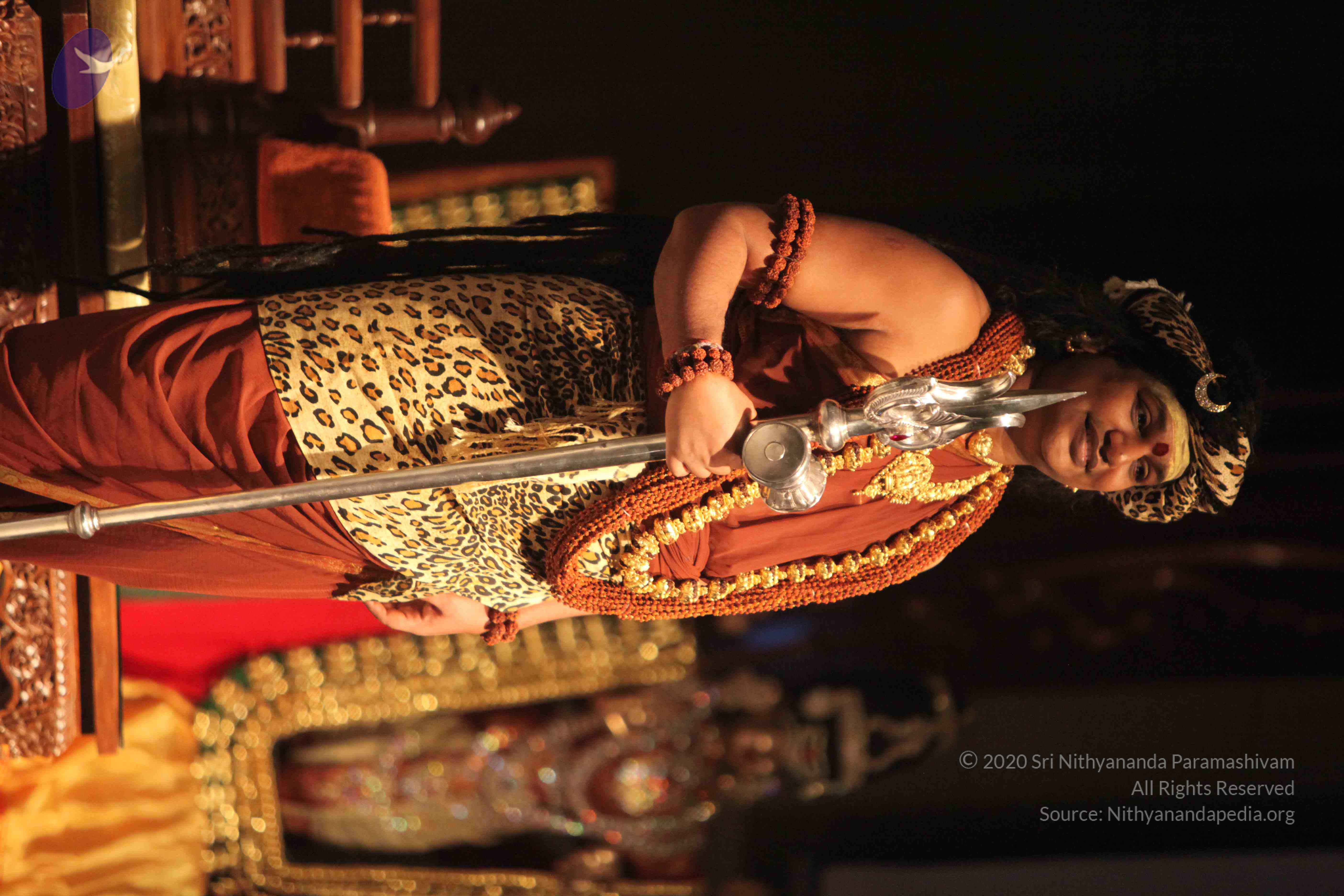 20151207_Photo_1008_IMG_6065_CMP_WM