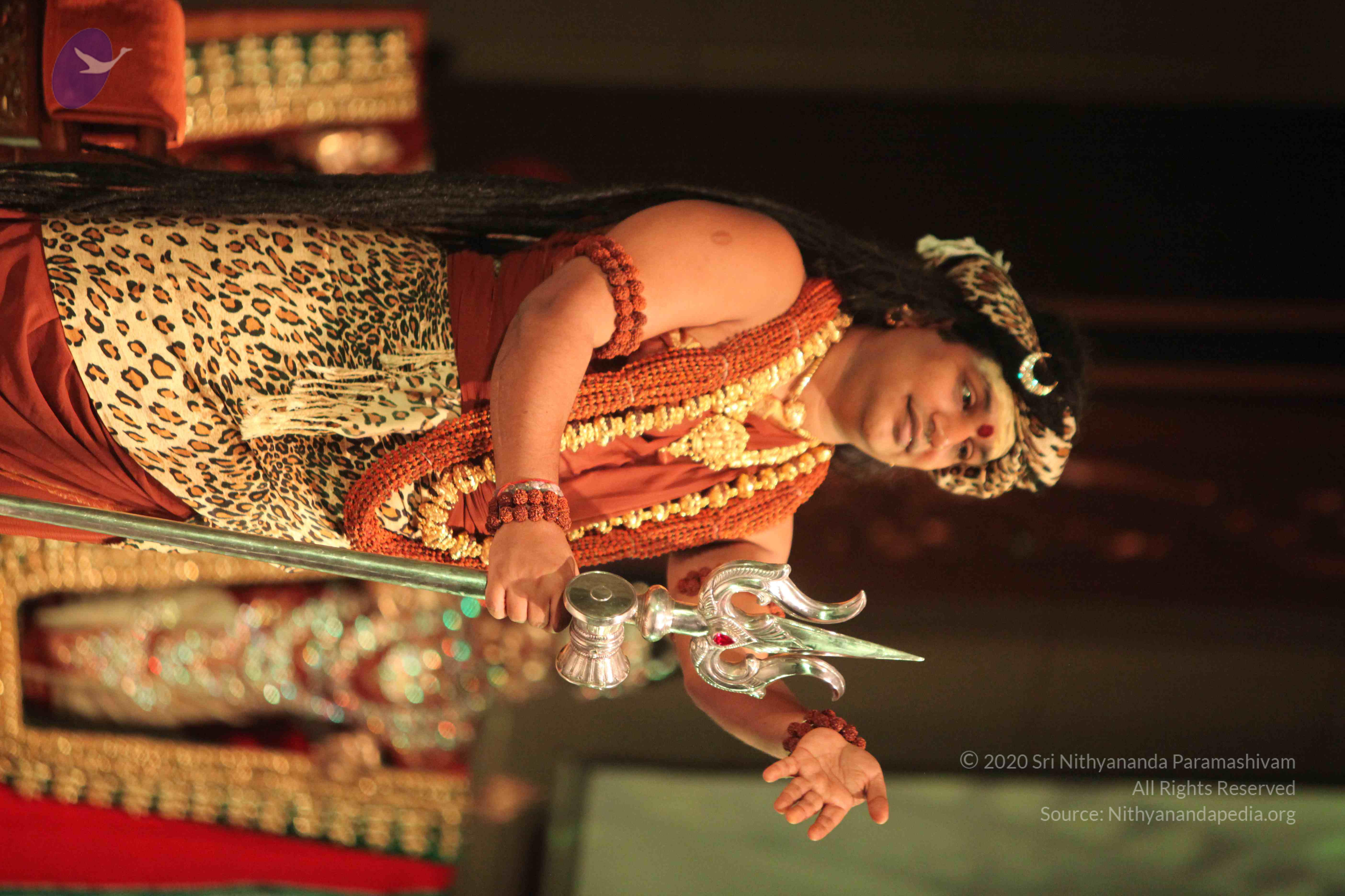 20151207_Photo_1014_IMG_6160_CMP_WM